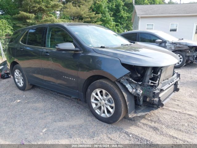 CHEVROLET EQUINOX 2019 2gnaxuev6k6155455