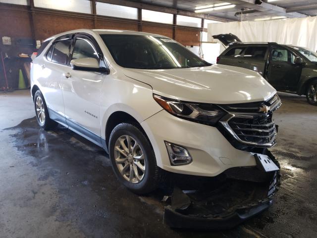 CHEVROLET EQUINOX LT 2019 2gnaxuev7k6259677