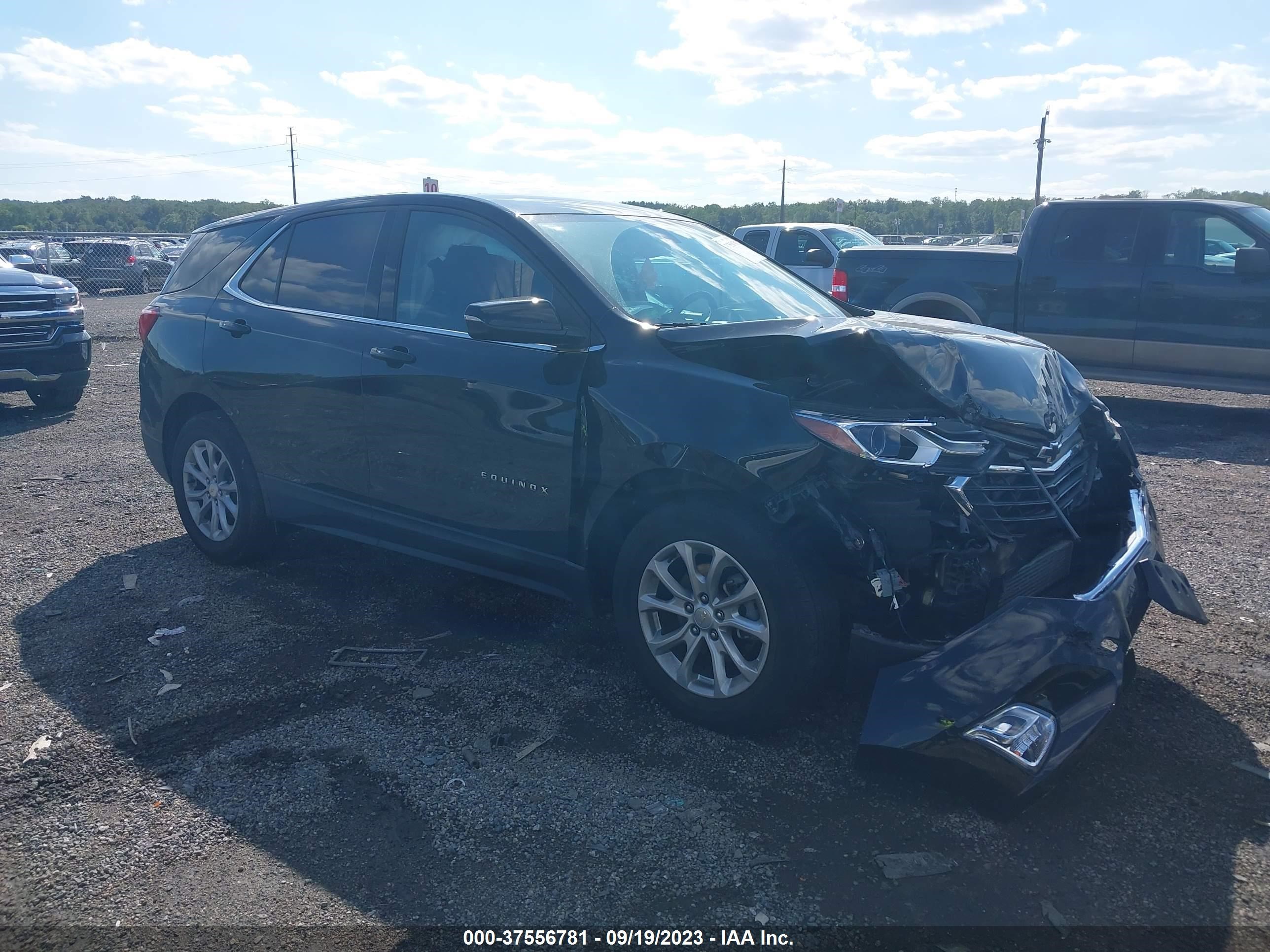 CHEVROLET EQUINOX 2019 2gnaxuev8k6230950