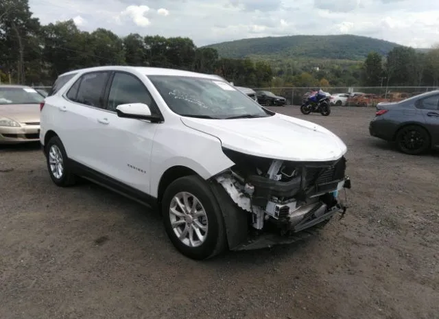 CHEVROLET EQUINOX 2019 2gnaxuevxk6187793