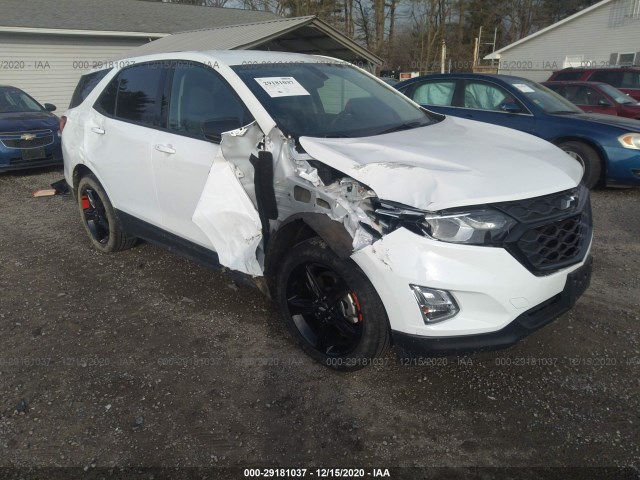 CHEVROLET EQUINOX 2019 2gnaxvex0k6290910