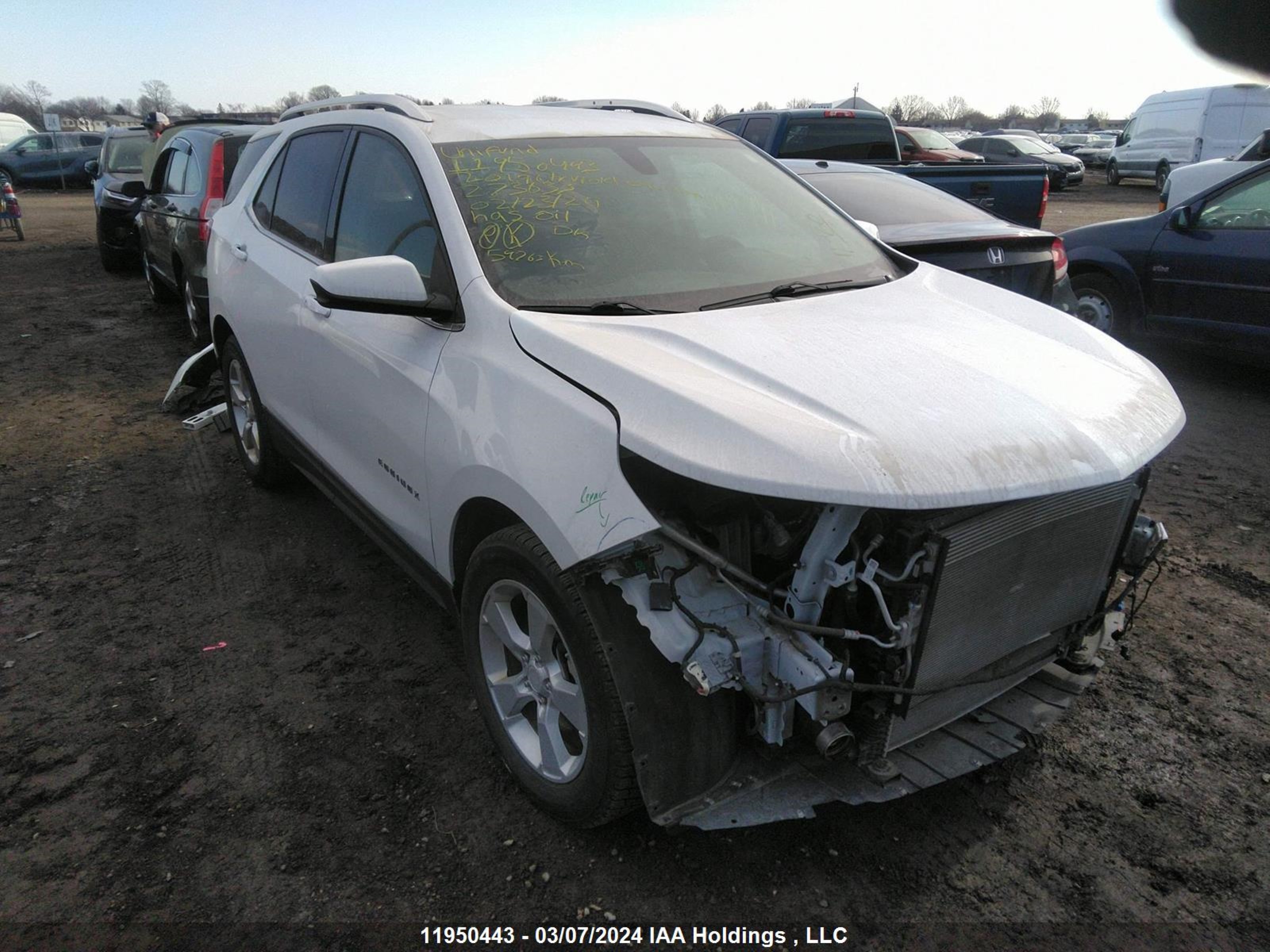 CHEVROLET EQUINOX 2019 2gnaxvex3k6273633