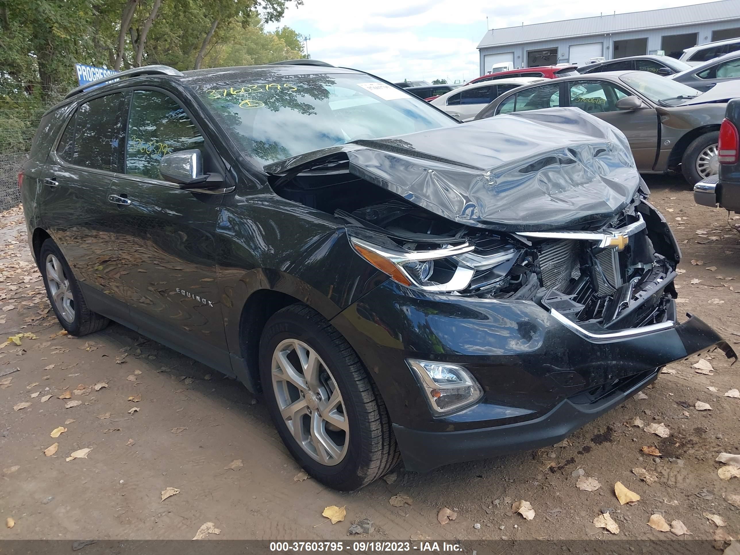 CHEVROLET EQUINOX 2019 2gnaxxev6k6110761