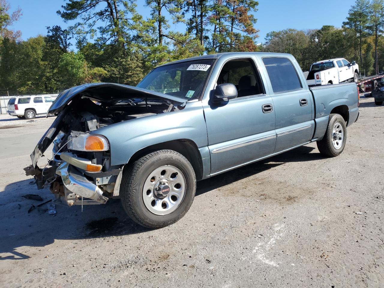 GMC SIERRA 2006 2gtec13v461310806