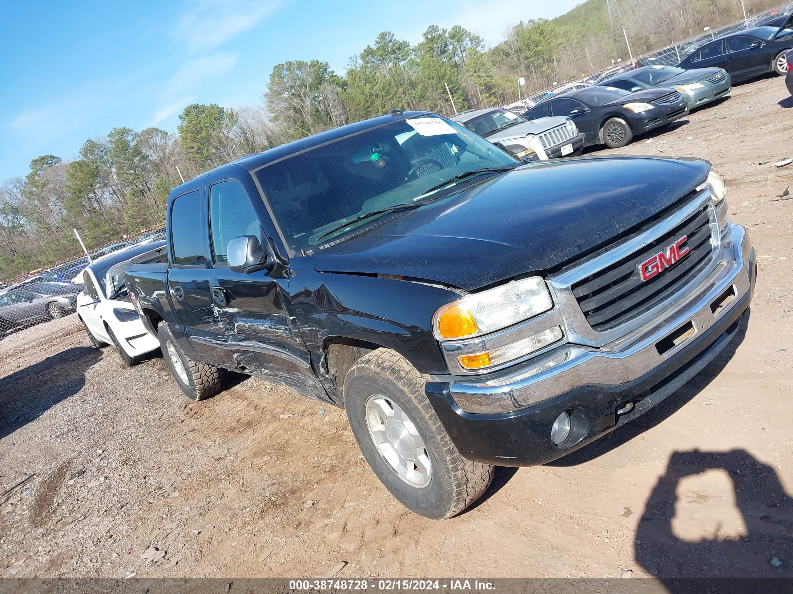 GMC SIERRA 2004 2gtek13t941345159