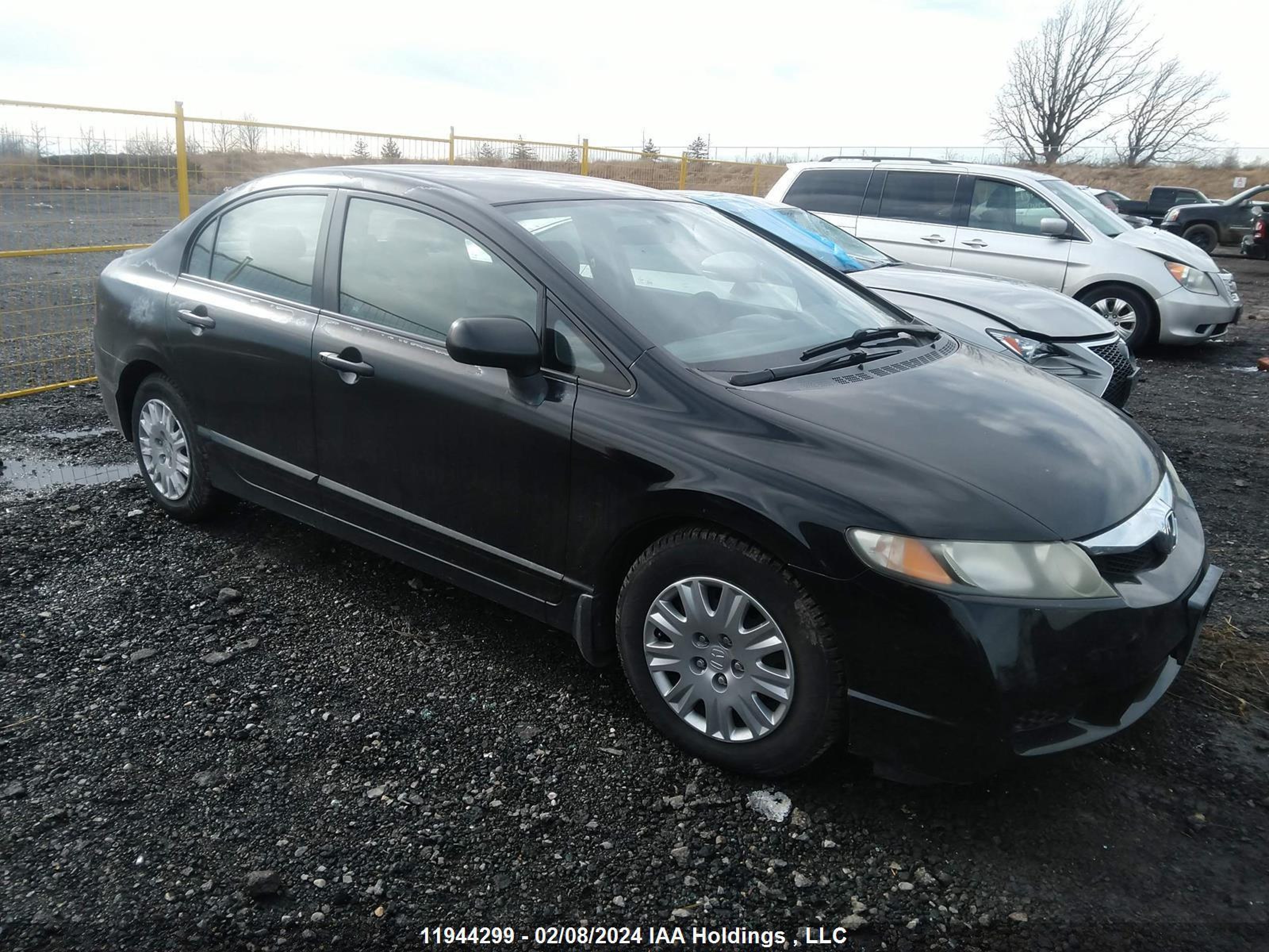 HONDA CIVIC 2009 2hgfa16209h022421