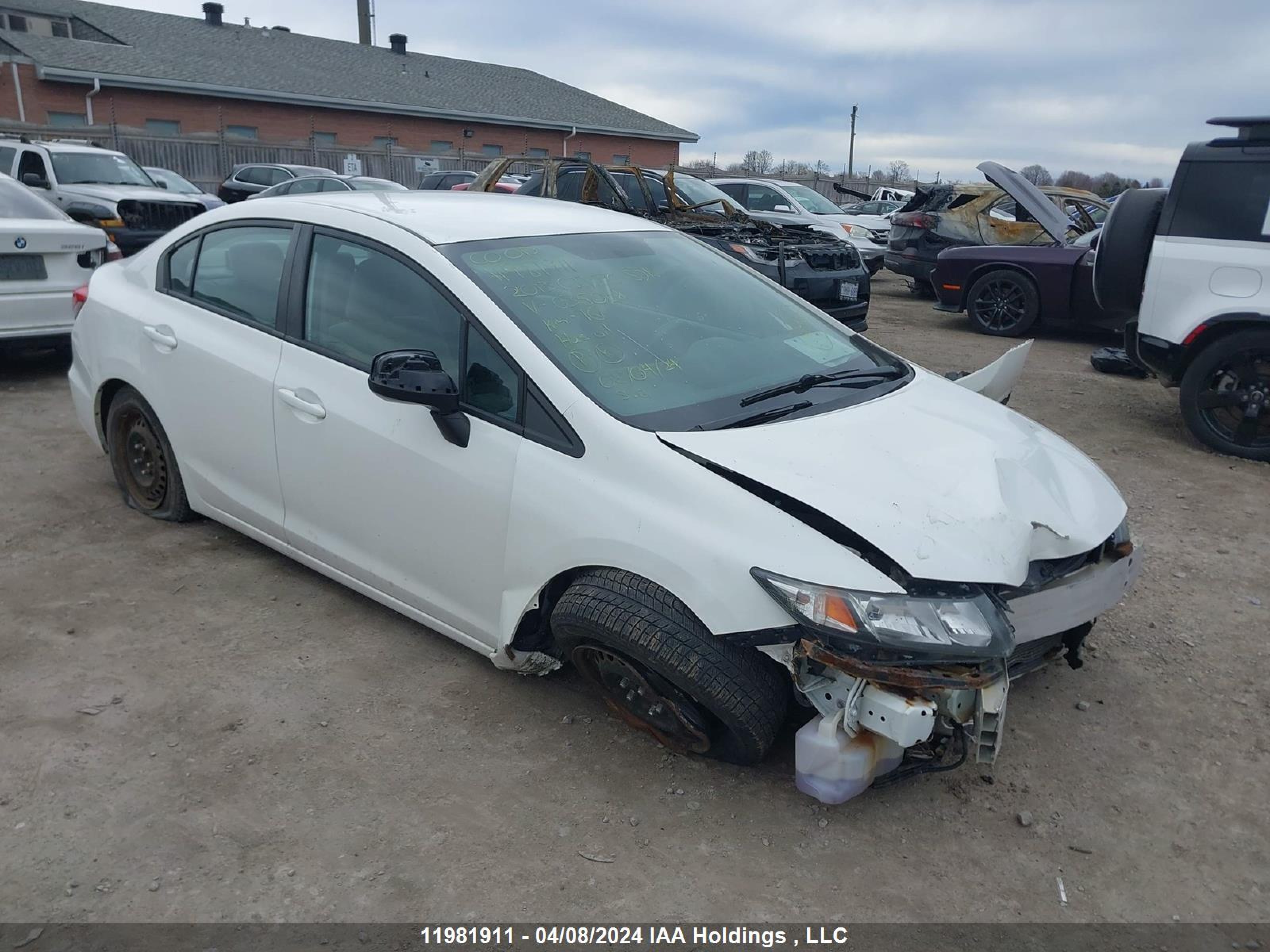 HONDA CIVIC 2013 2hgfb2f42dh035068