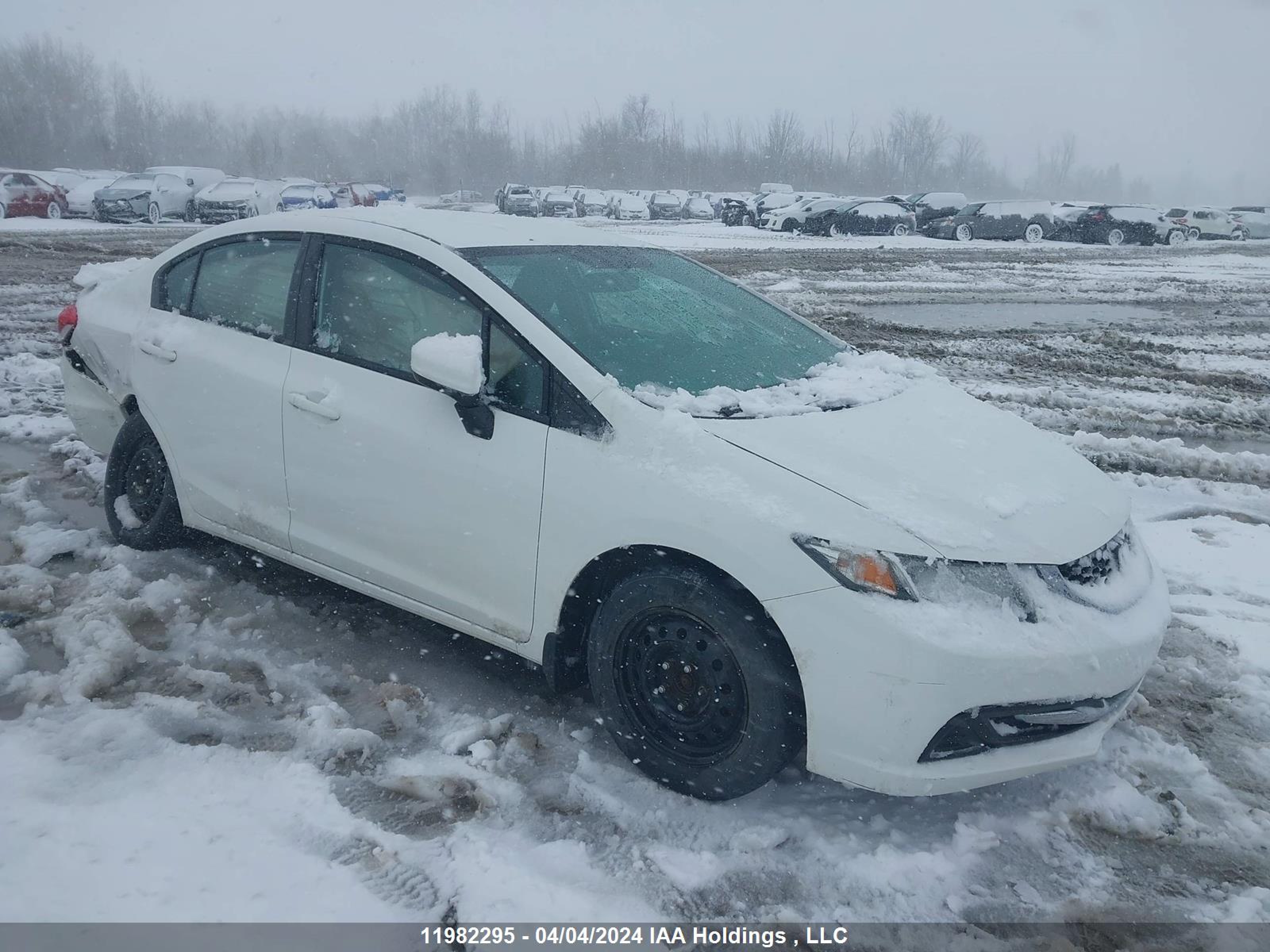 HONDA CIVIC 2014 2hgfb2f4xeh028032