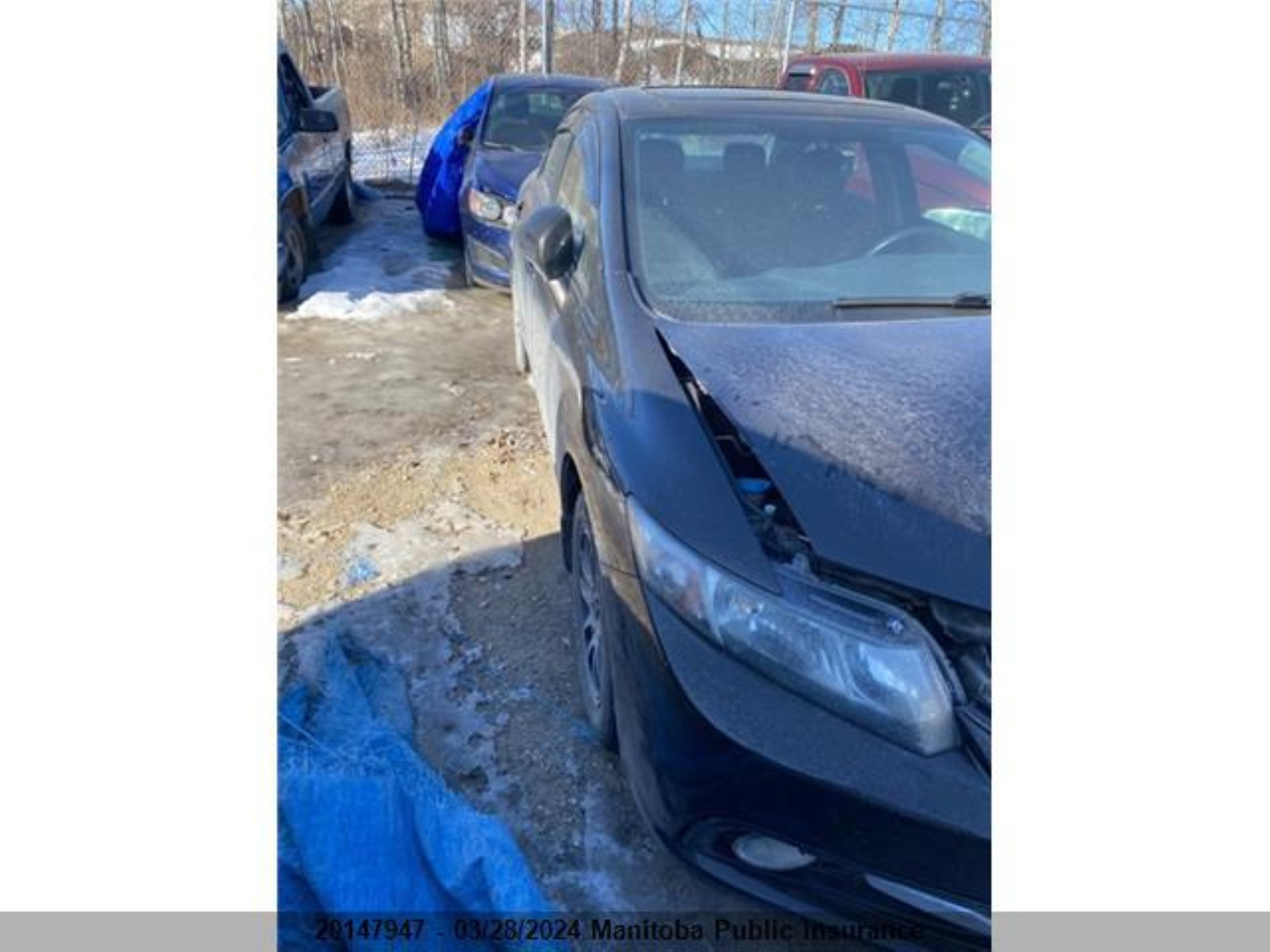 HONDA CIVIC 2013 2hgfb2f54dh046923