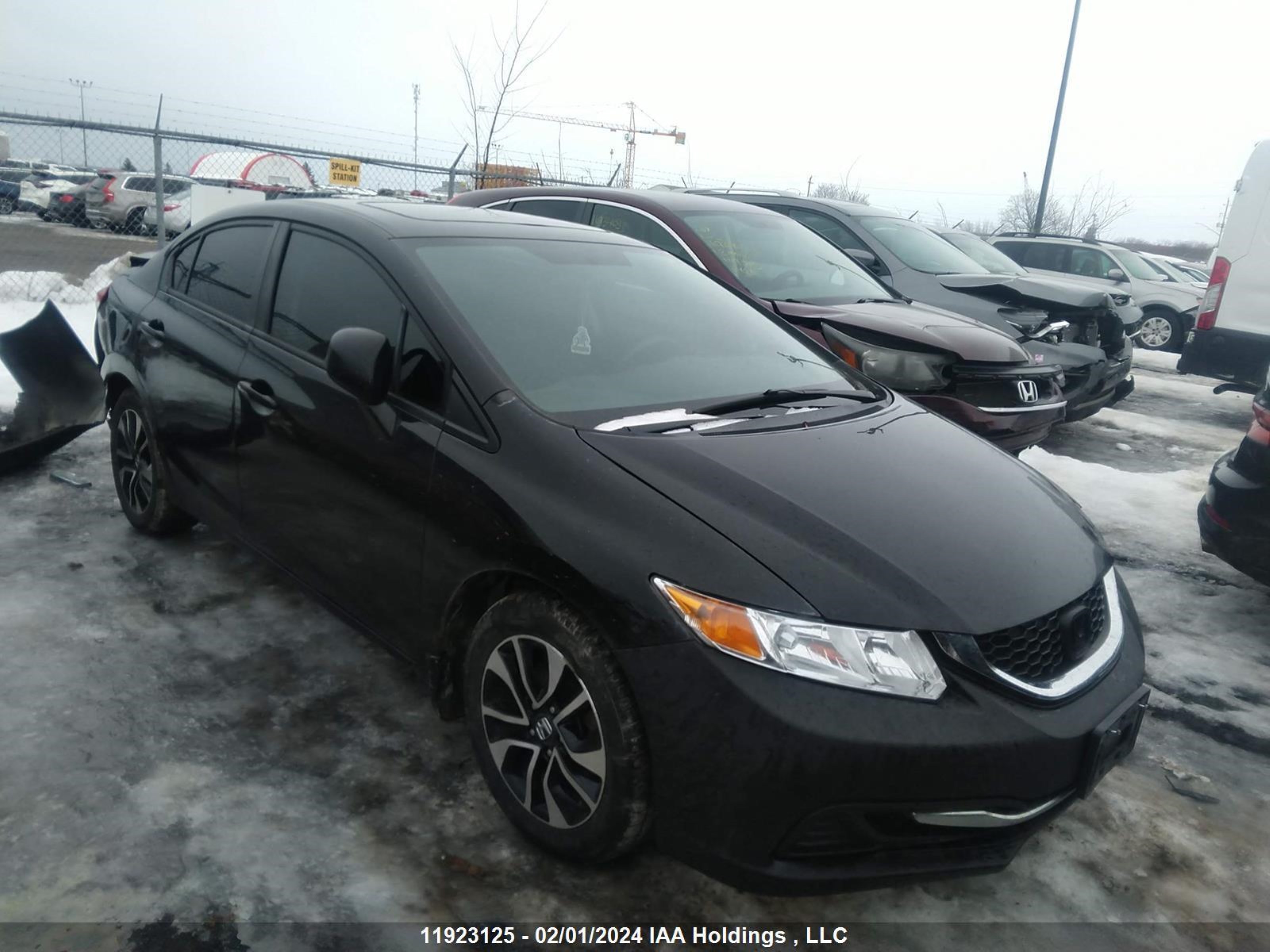 HONDA CIVIC 2013 2hgfb2f55dh030665