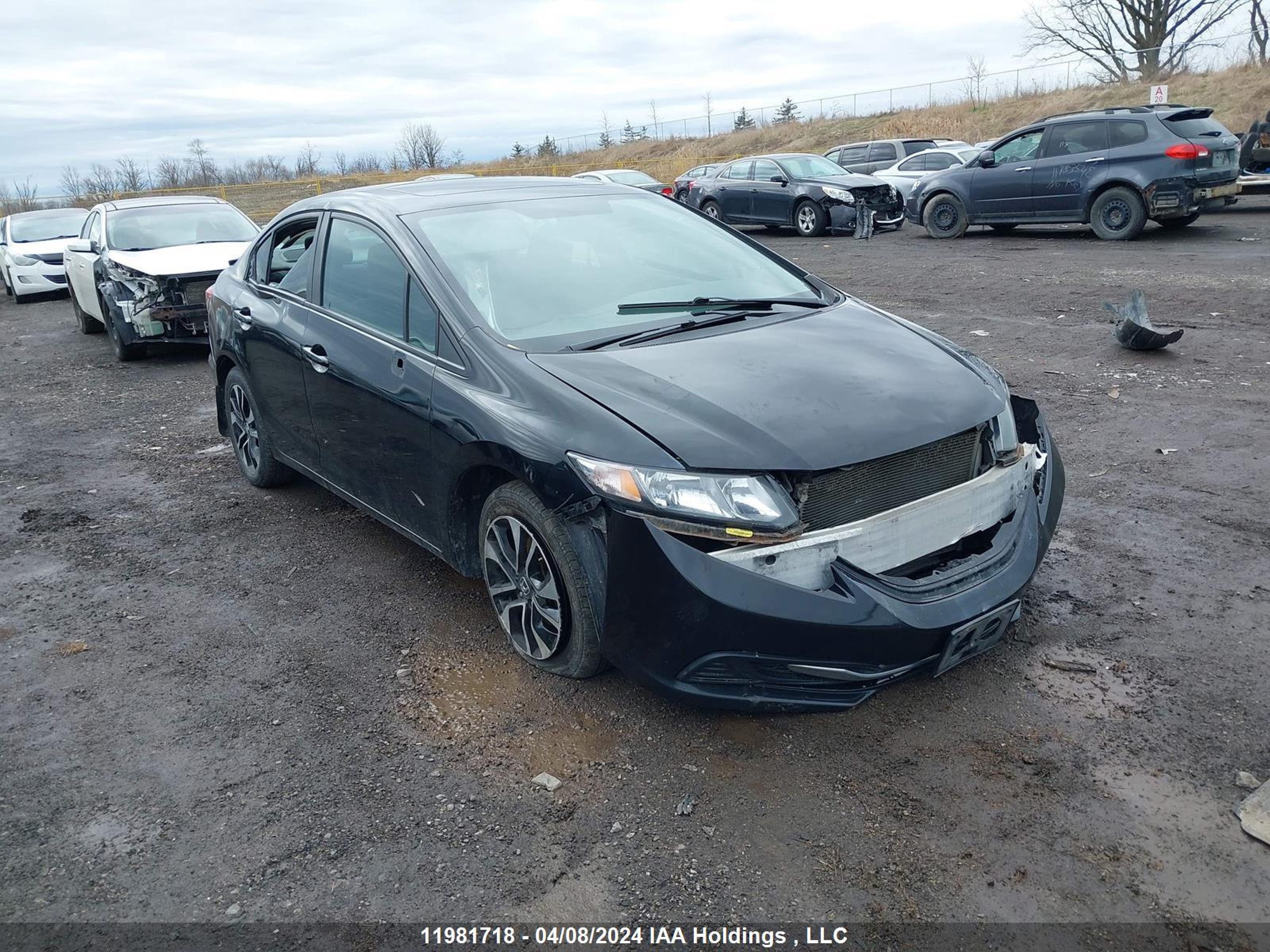 HONDA CIVIC 2015 2hgfb2f55fh011200