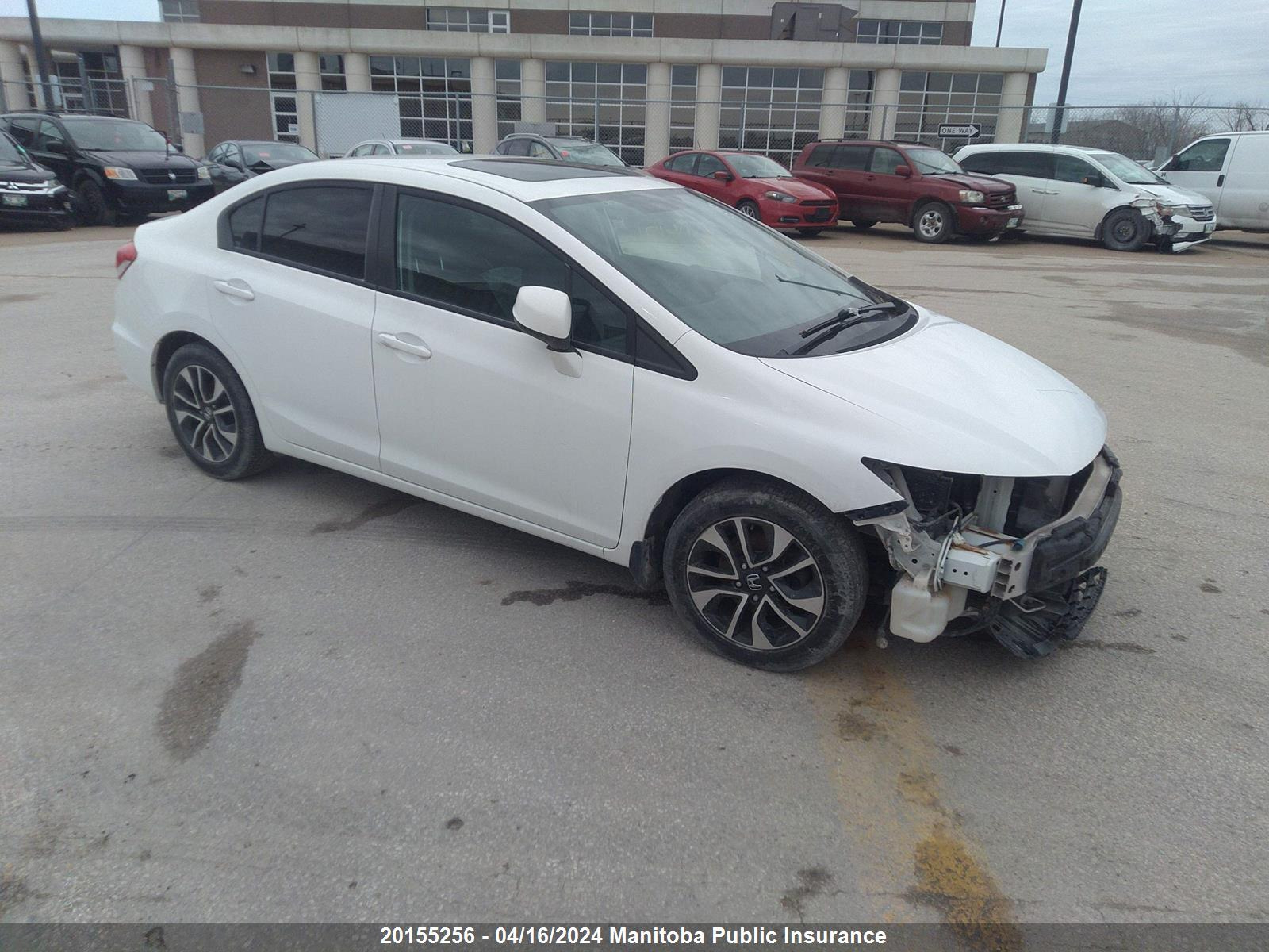 HONDA CIVIC 2013 2hgfb2f59dh035187