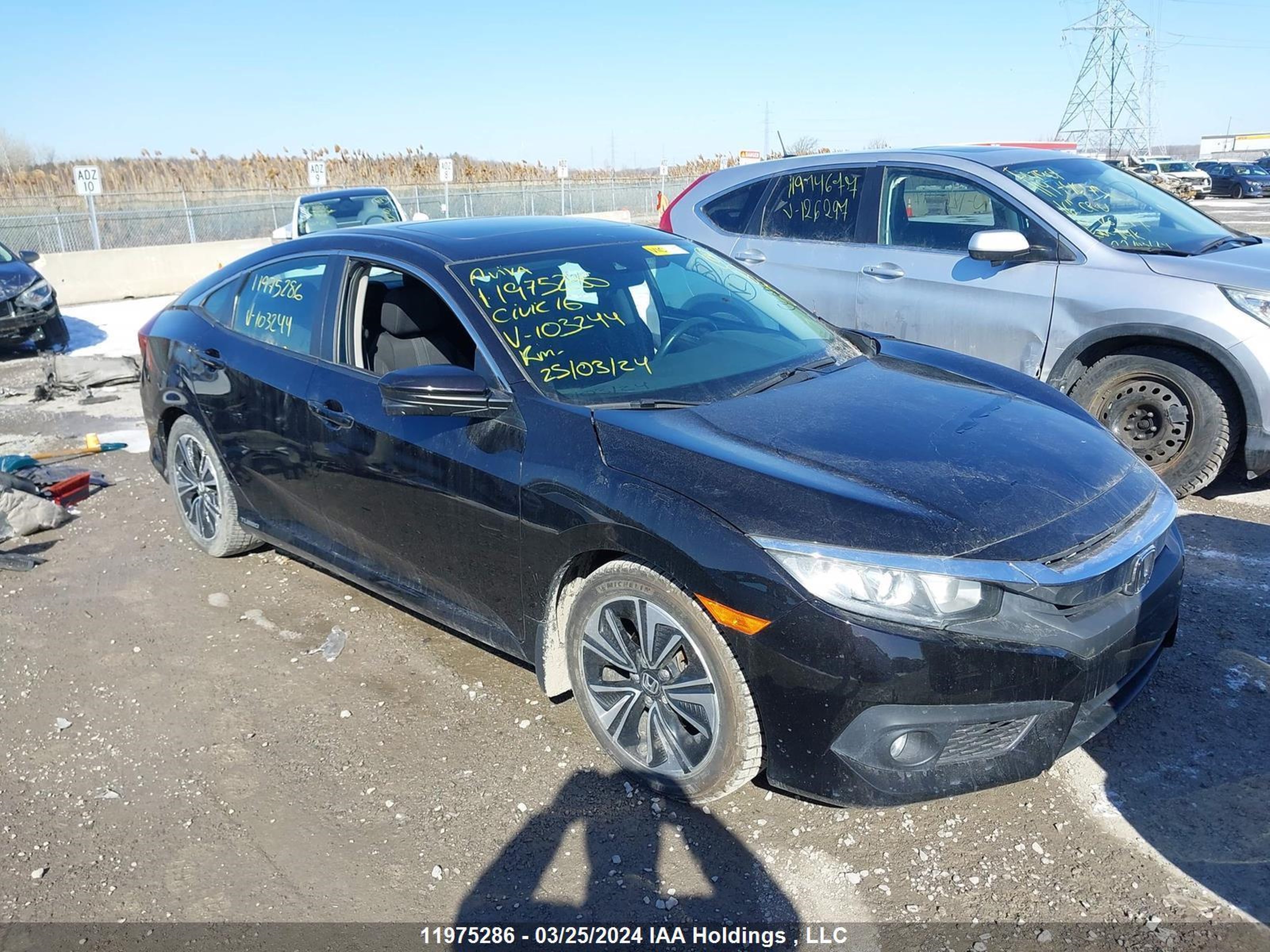 HONDA CIVIC 2016 2hgfc1f43gh103244