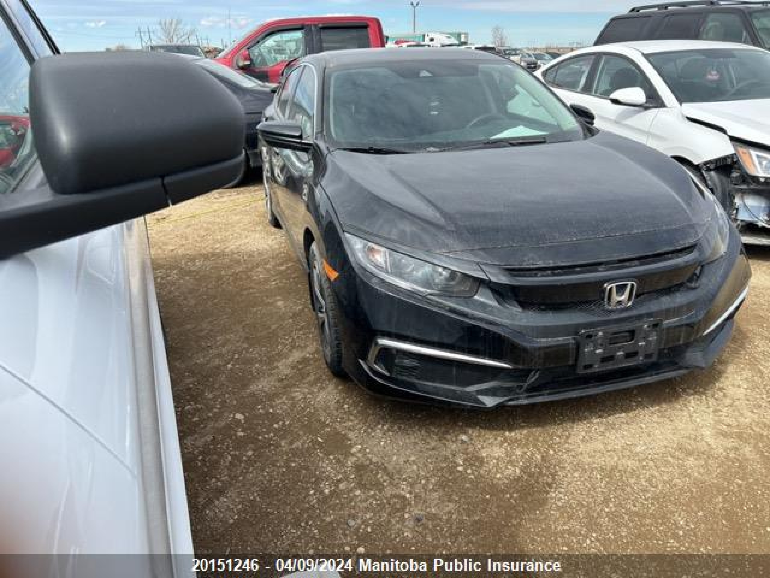 HONDA CIVIC 2019 2hgfc2f53kh012305