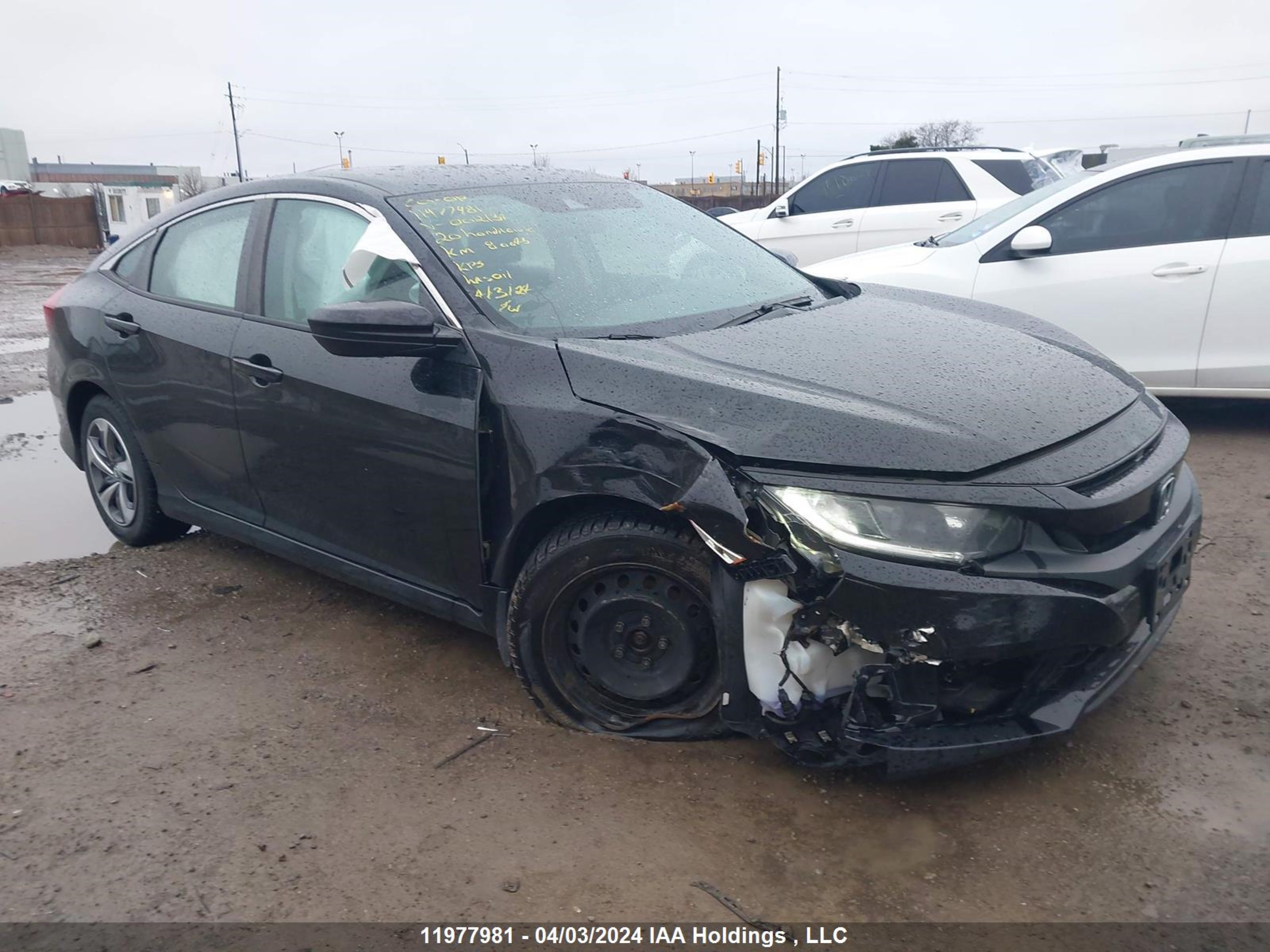 HONDA CIVIC 2020 2hgfc2f55lh002134