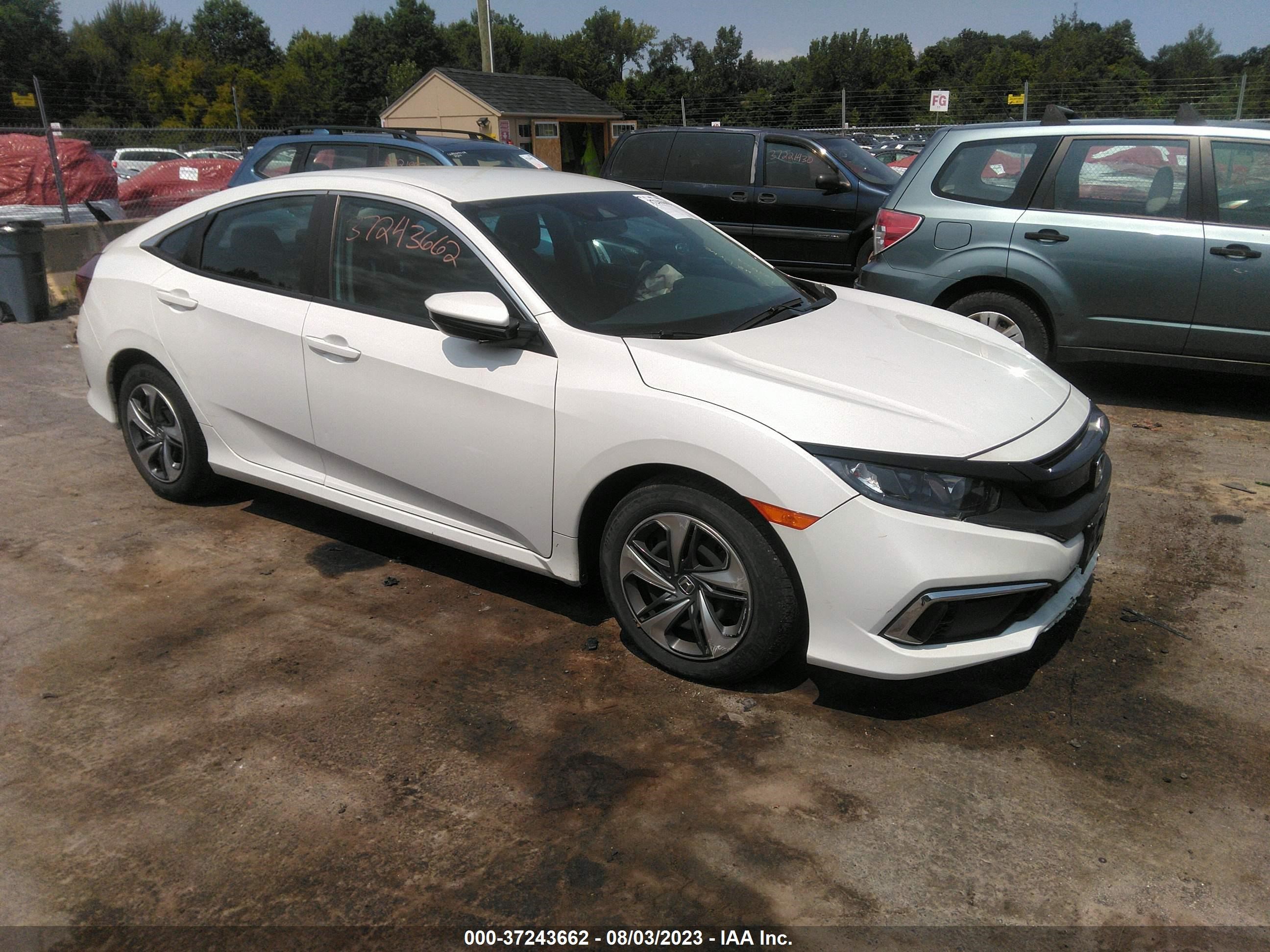 HONDA CIVIC 2019 2hgfc2f61kh513721