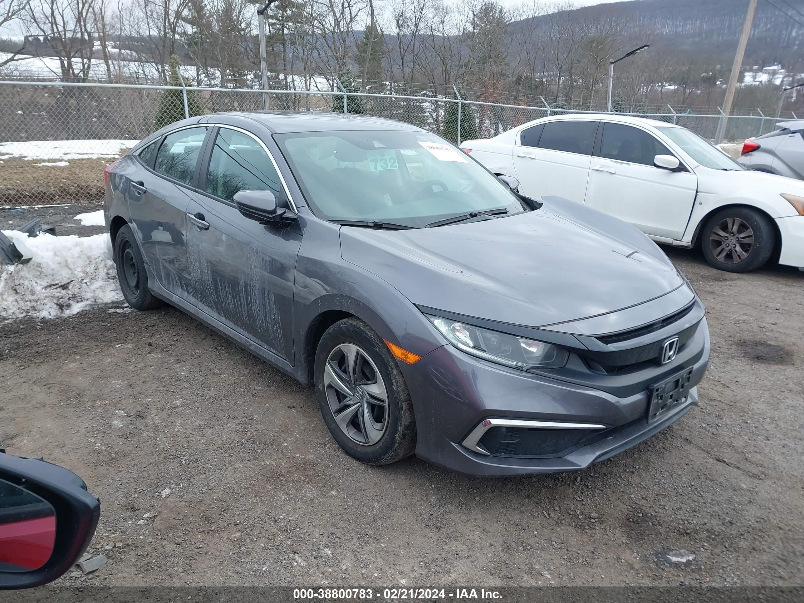 HONDA CIVIC 2019 2hgfc2f64kh562797