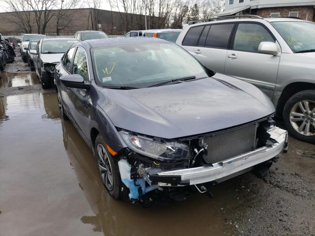 HONDA CIVIC LX 2020 2hgfc2f65lh597401