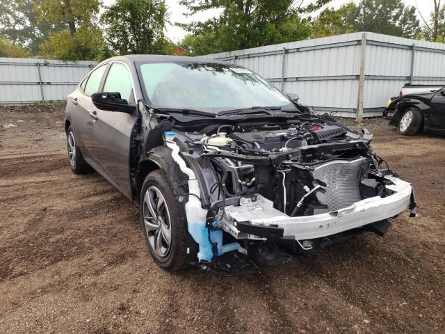 HONDA CIVIC LX 2019 2hgfc2f6xkh579684