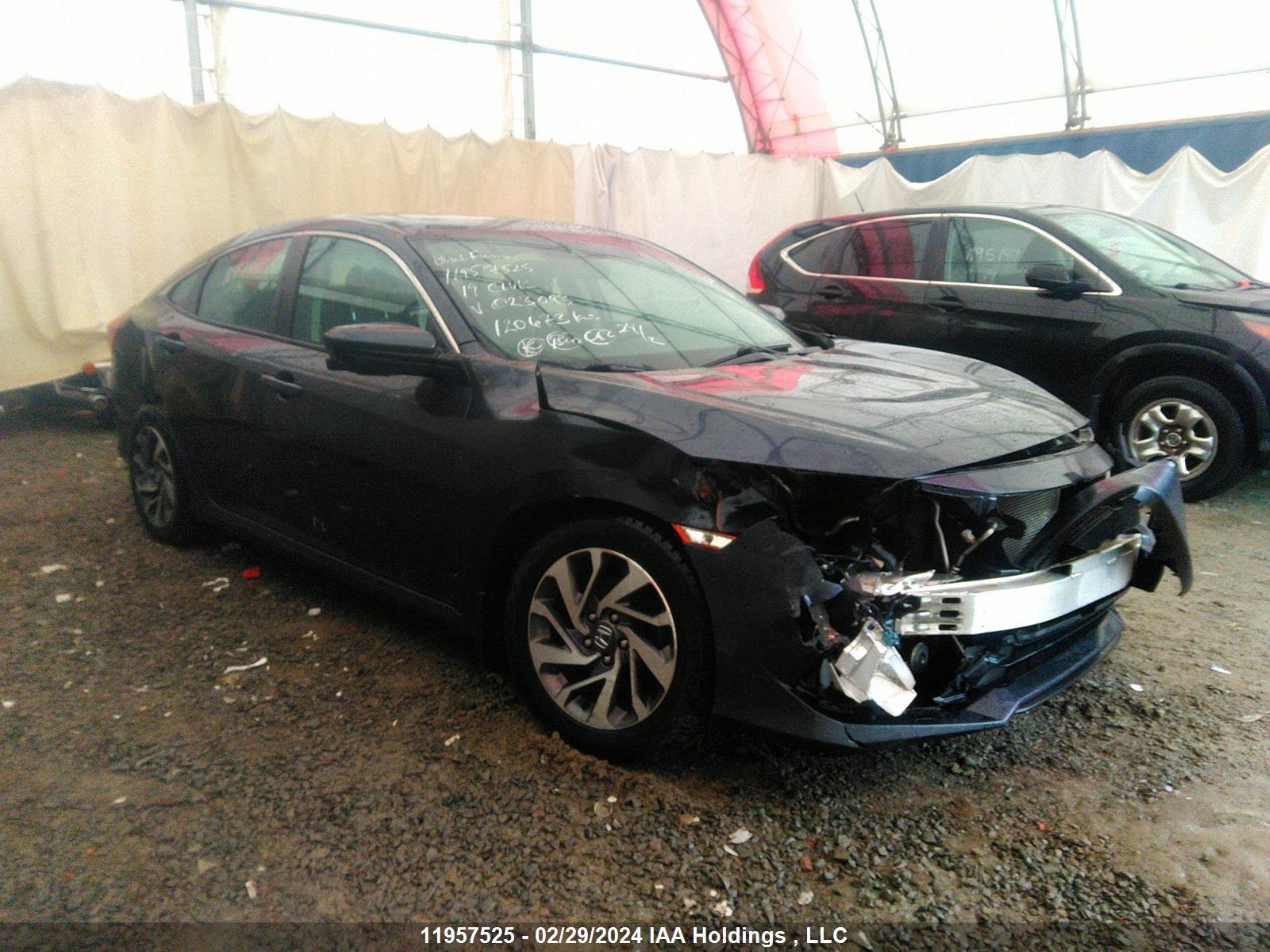 HONDA CIVIC 2019 2hgfc2f71kh023093