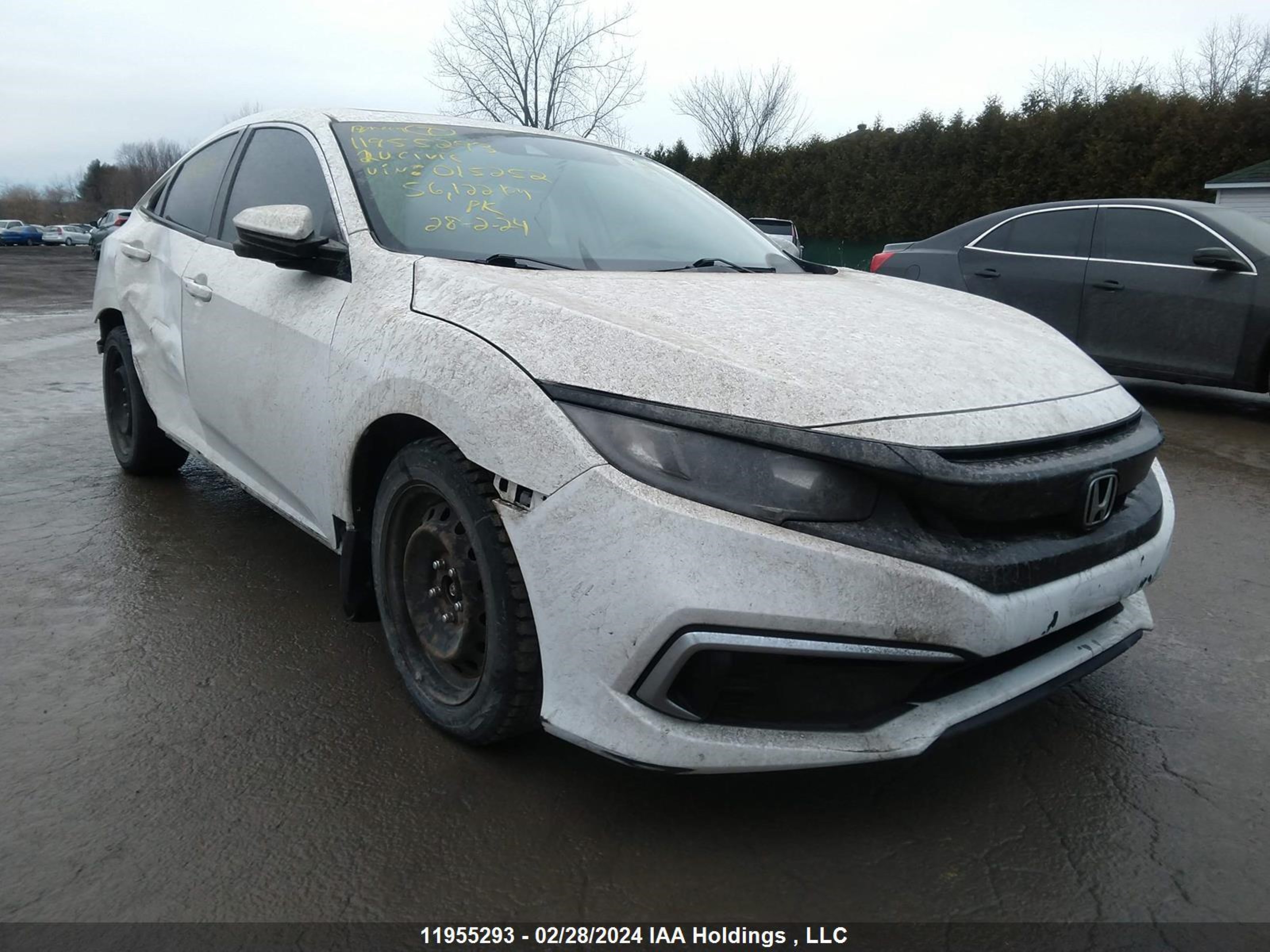 HONDA CIVIC 2020 2hgfc2f78lh015252