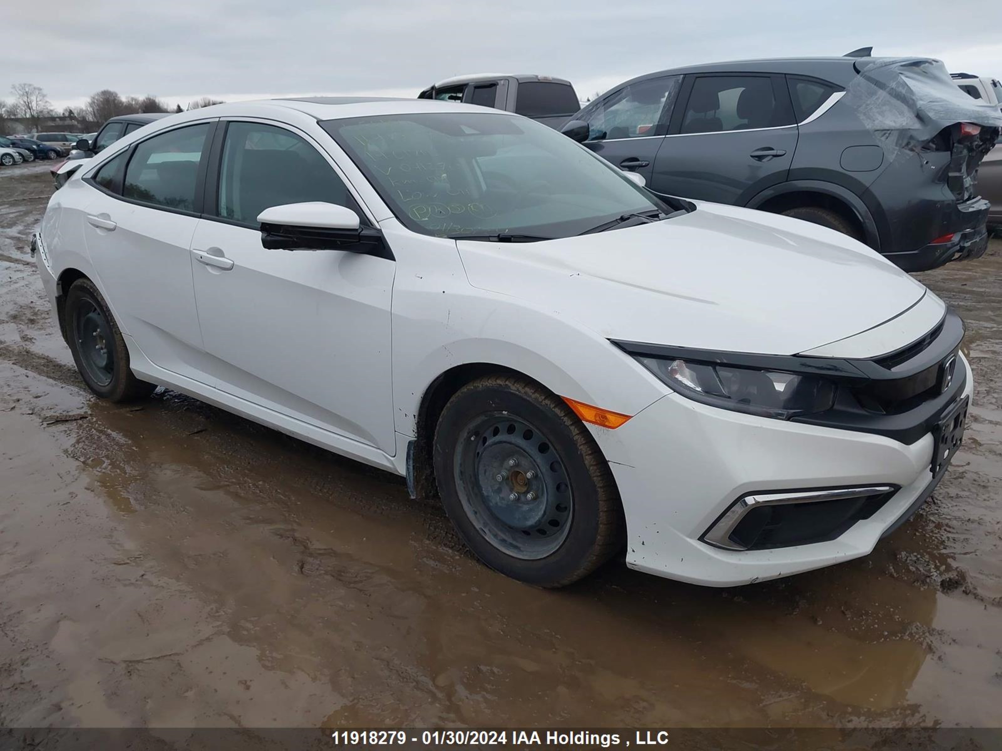 HONDA CIVIC 2019 2hgfc2f7xkh041270