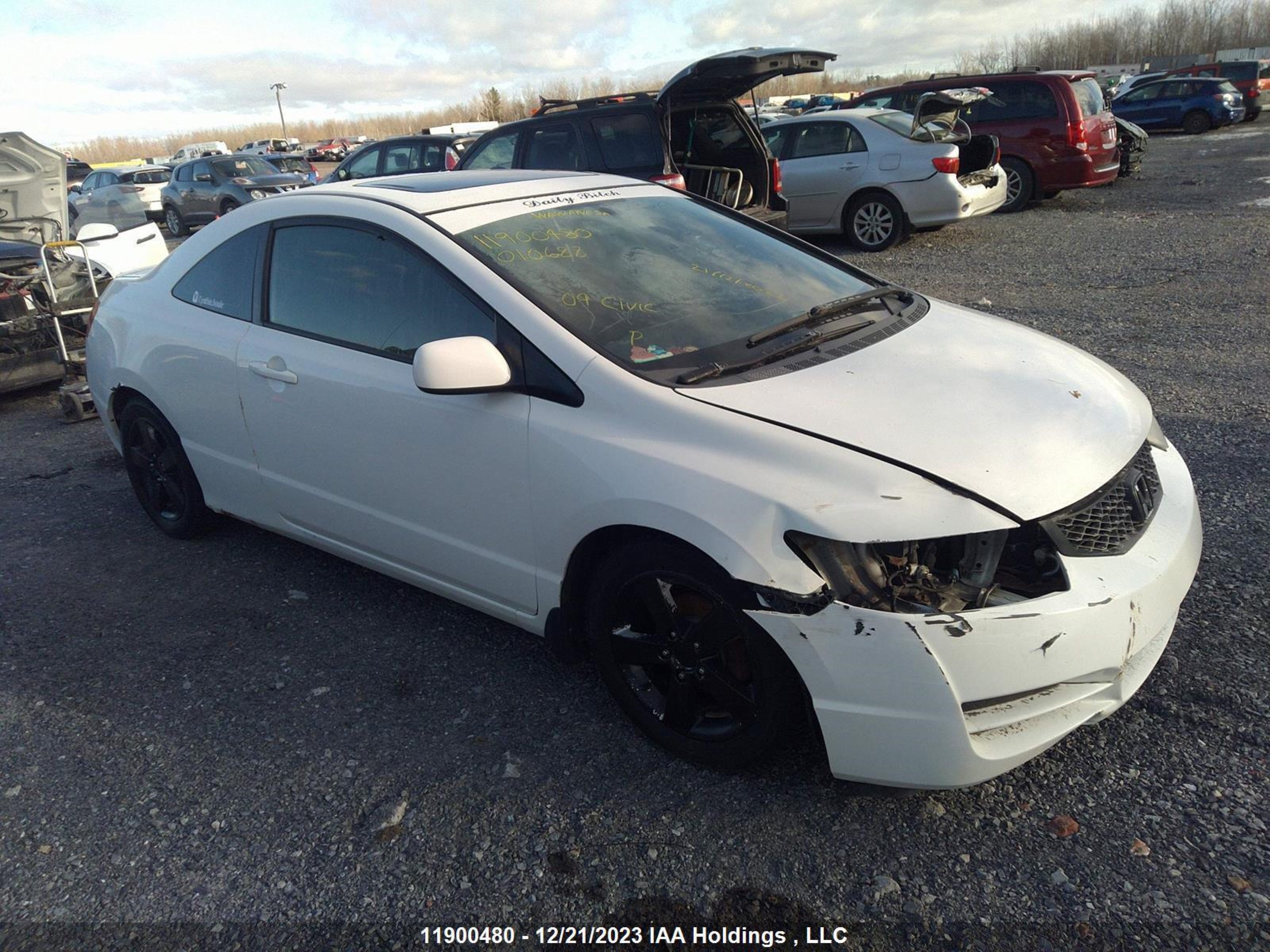 HONDA CIVIC 2009 2hgfg12639h010688