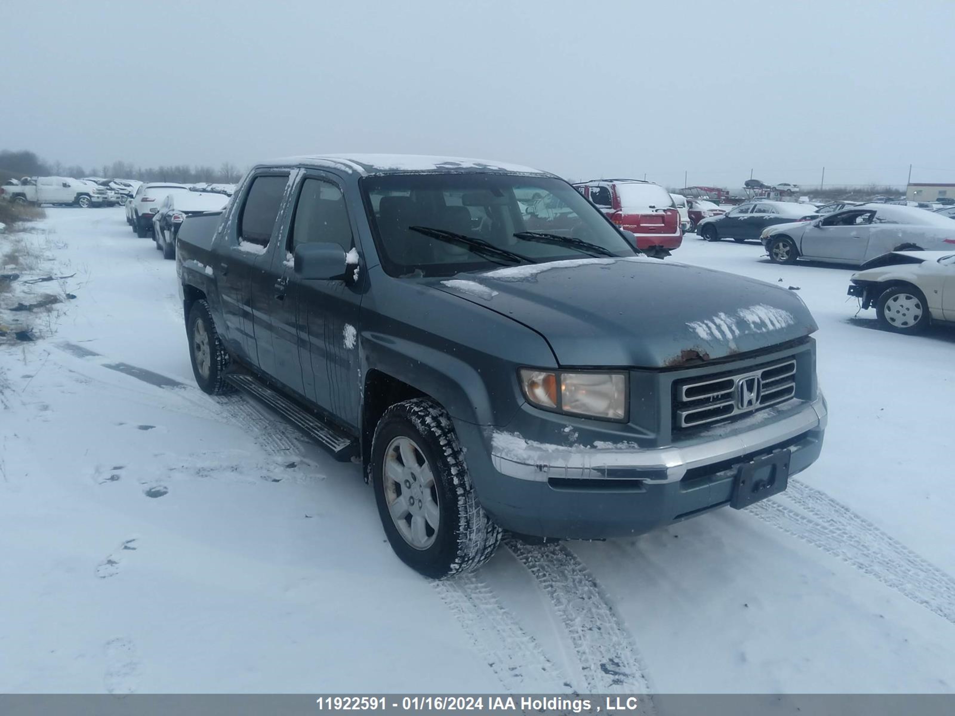 HONDA RIDGELINE 2006 2hjyk16556h001912