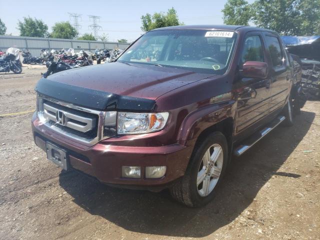 HONDA RIDGELINE 2009 2hjyk16599h501205