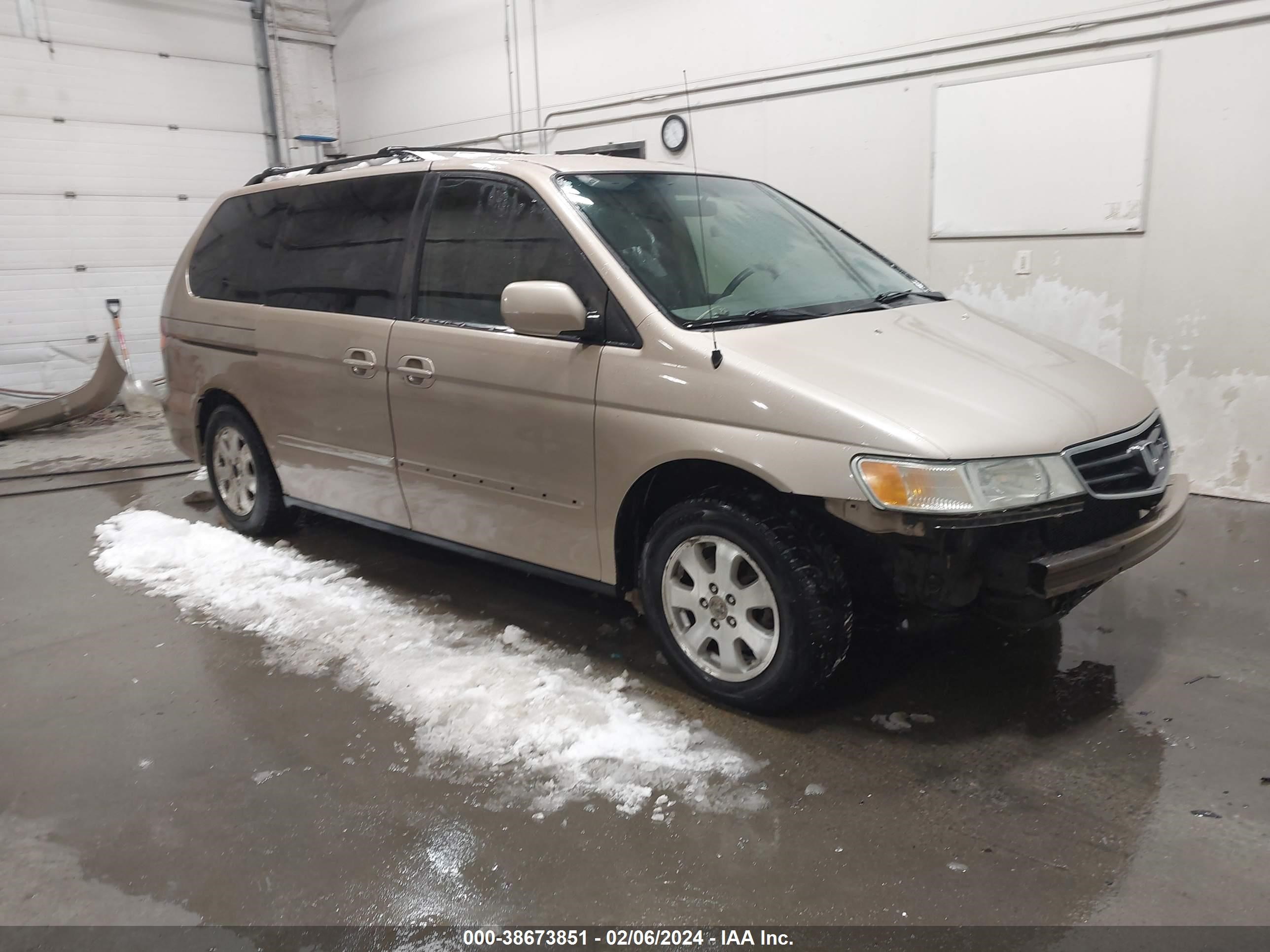 HONDA ODYSSEY 2002 2hkrl18022h553263