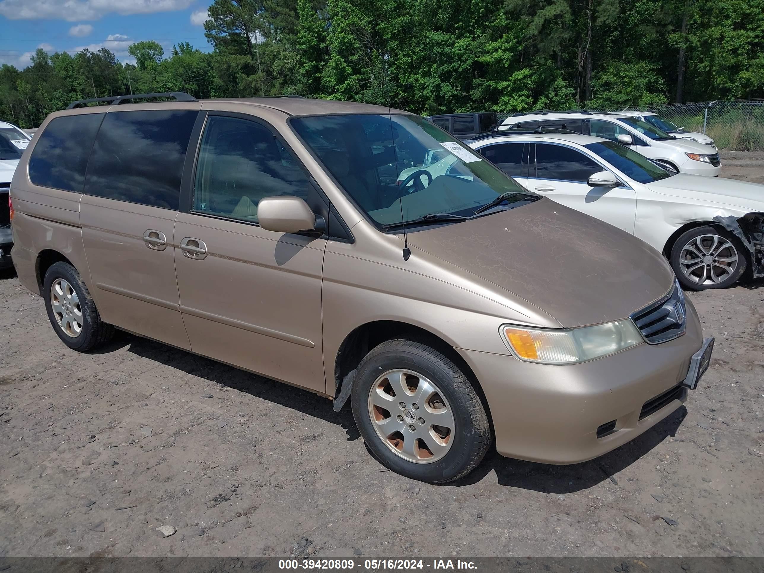 HONDA ODYSSEY 2002 2hkrl18052h549692