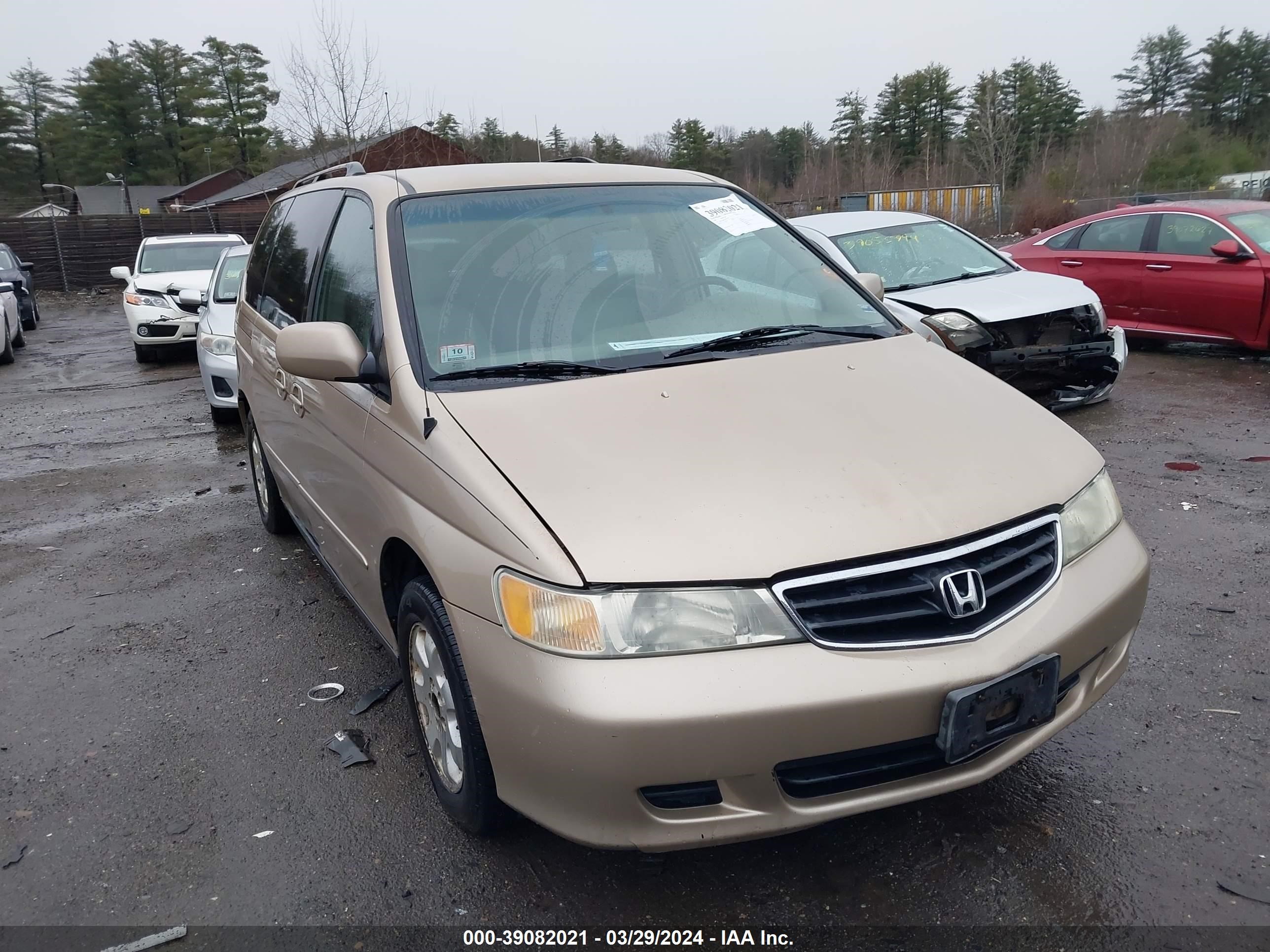 HONDA ODYSSEY 2002 2hkrl18092h562655