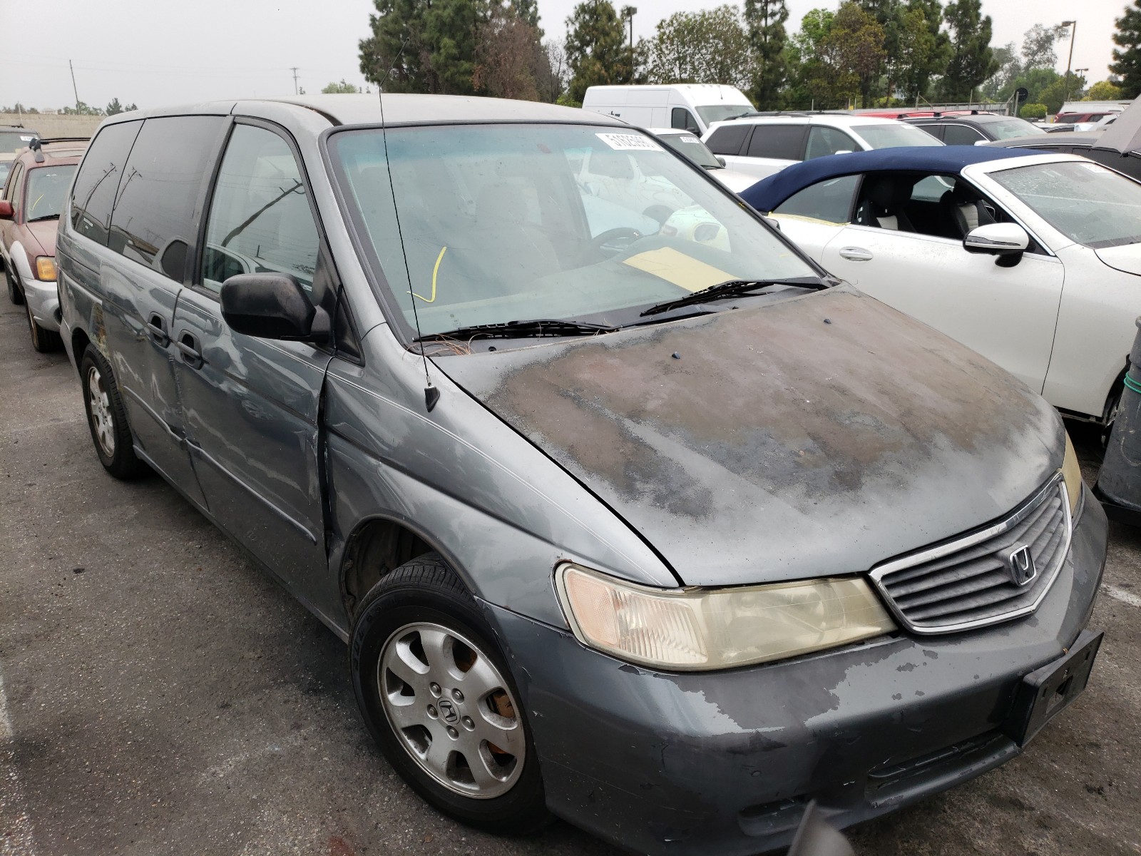 HONDA ODYSSEY 2000 2hkrl1856yh583631