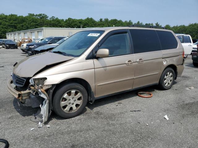 HONDA ODYSSEY EX 2002 2hkrl18602h579865