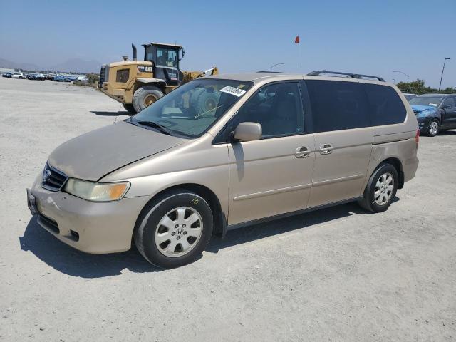 HONDA ODYSSEY EX 2002 2hkrl18622h549198