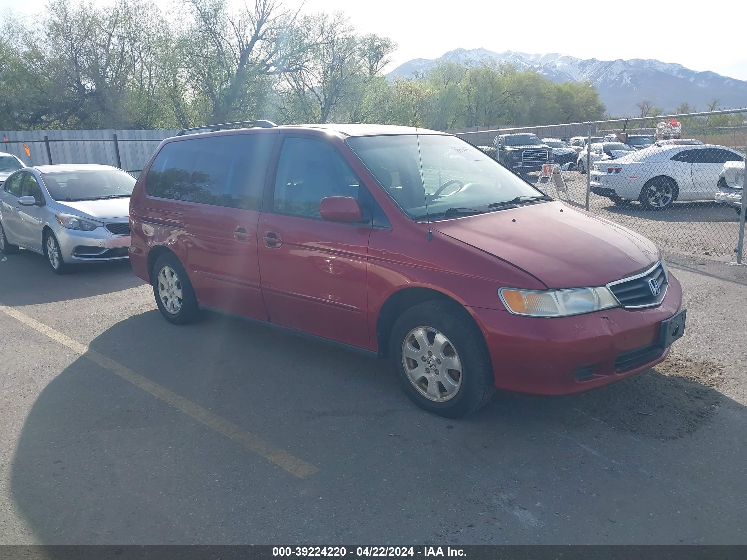 HONDA ODYSSEY 2002 2hkrl18622h556233