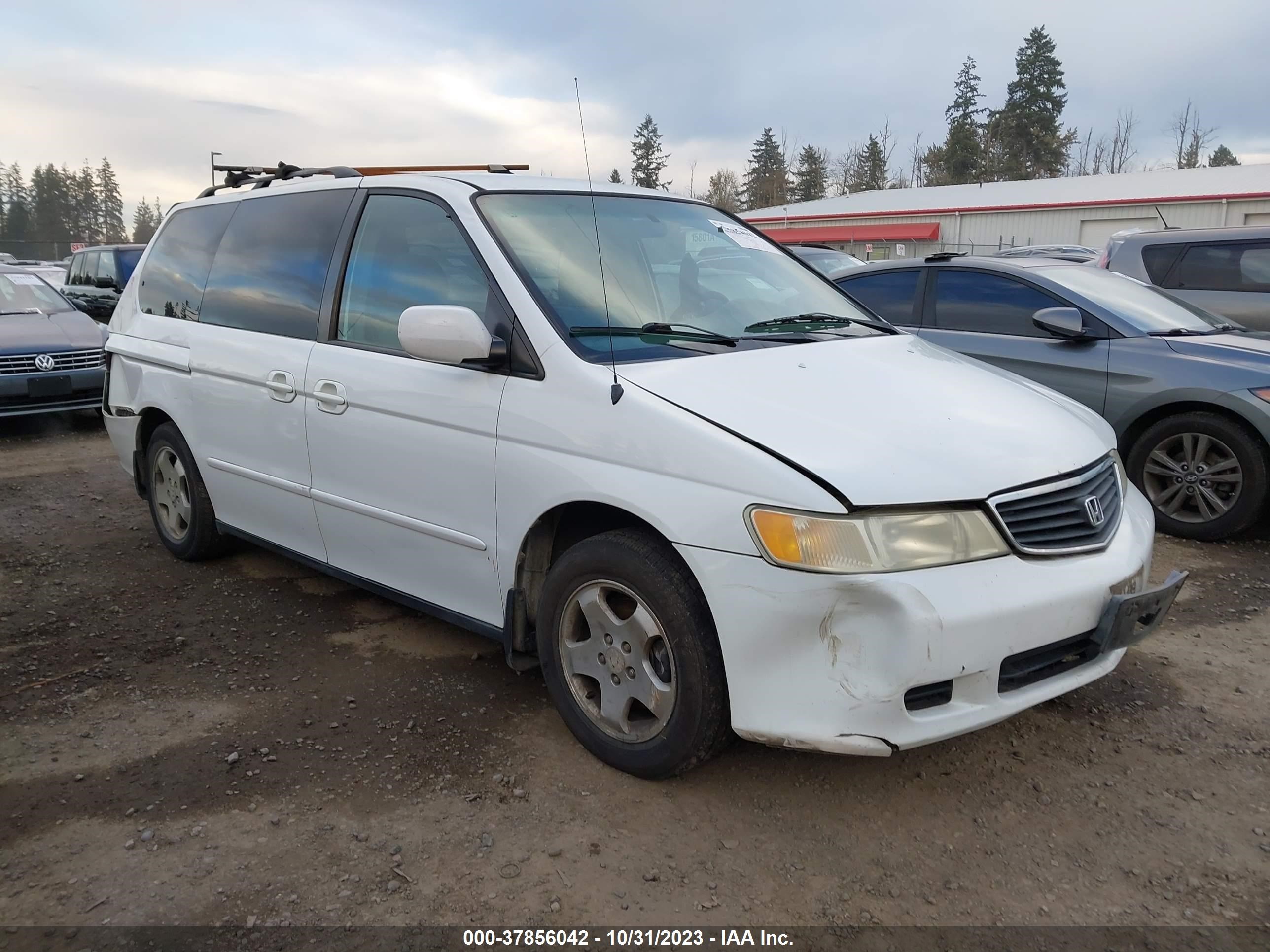 HONDA ODYSSEY 2001 2hkrl18631h565764