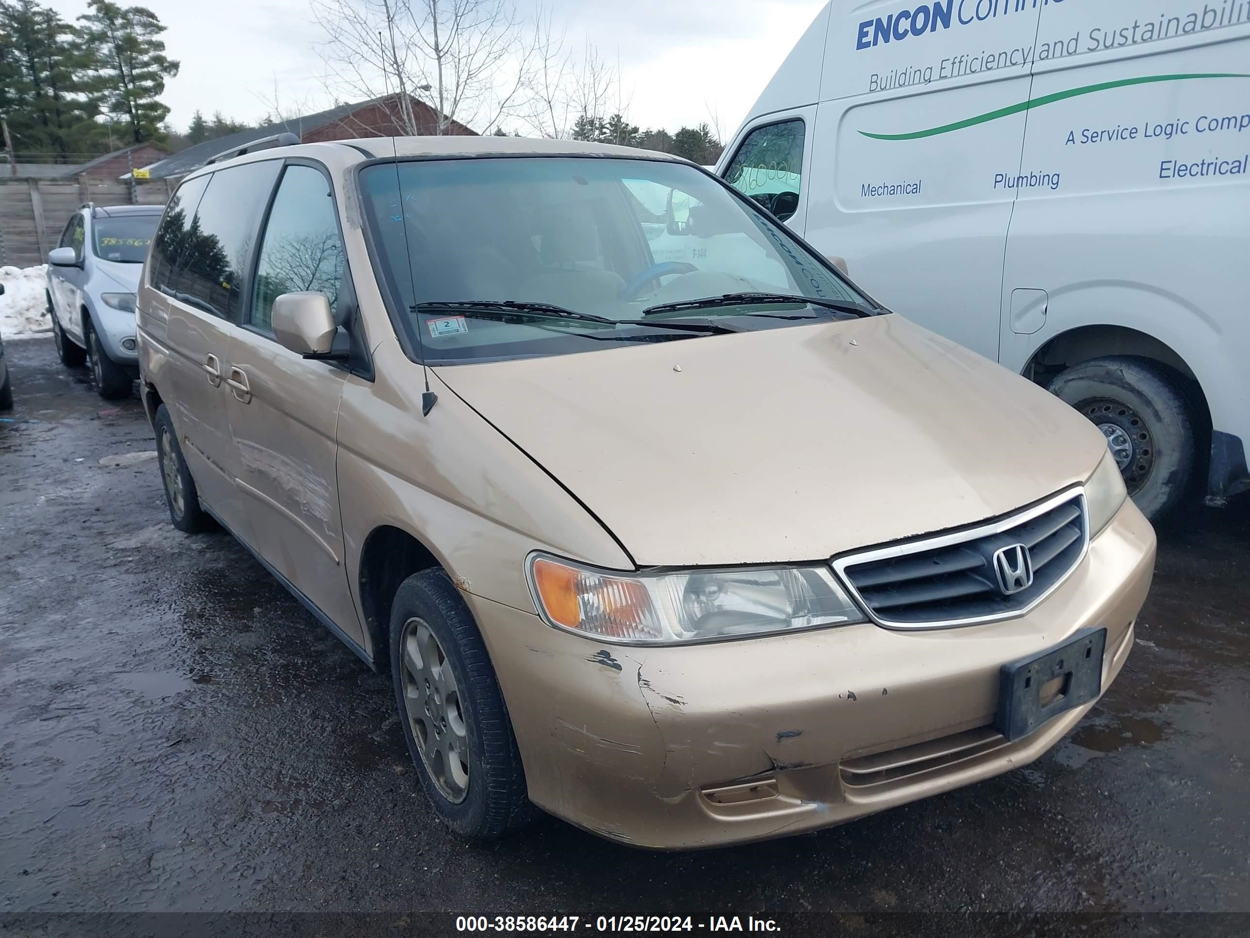 HONDA ODYSSEY 2002 2hkrl18662h589655