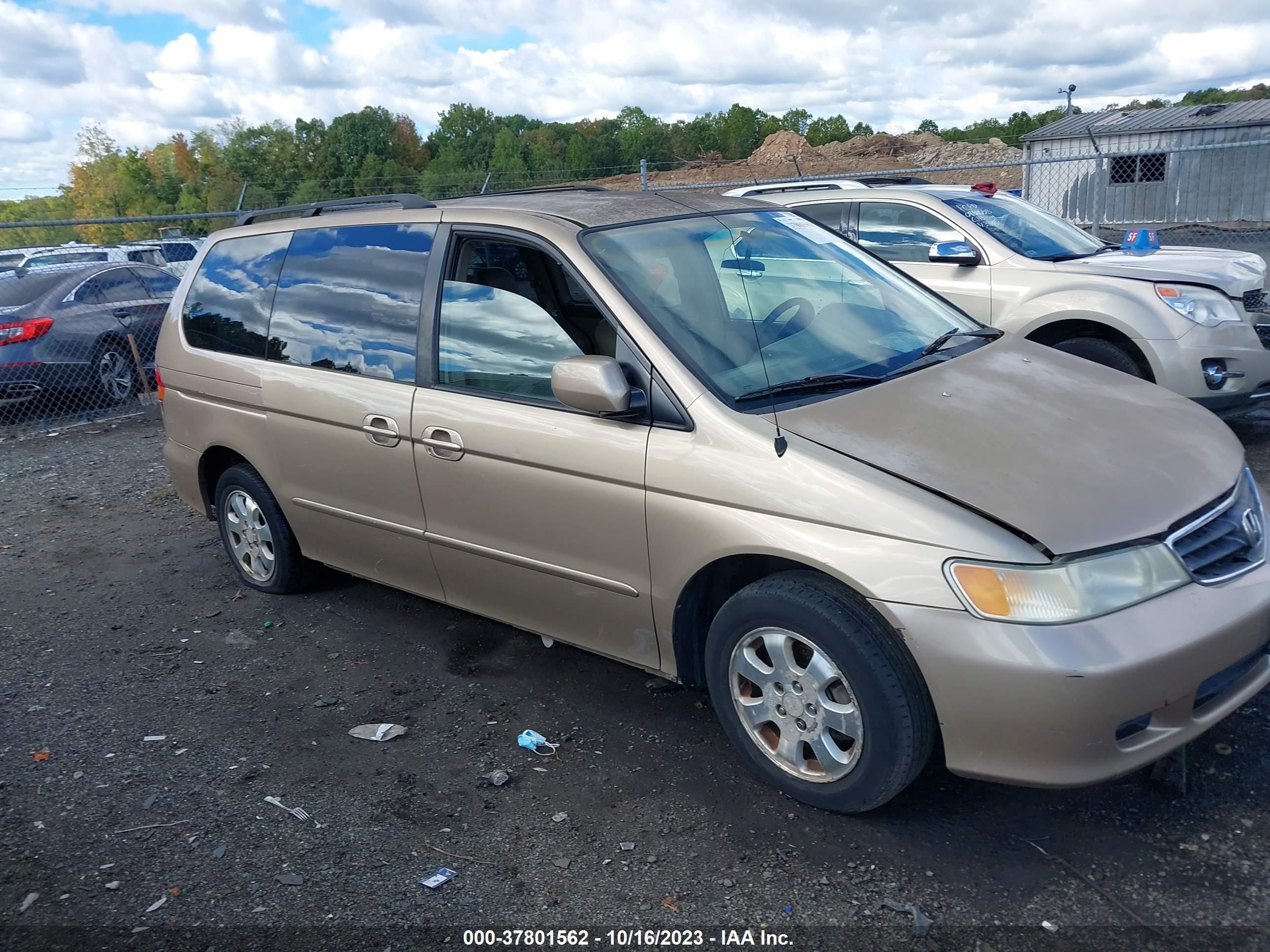 HONDA ODYSSEY 2002 2hkrl18732h529485