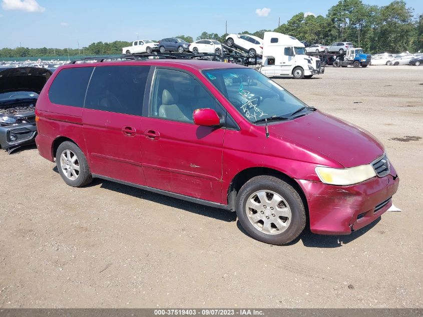 HONDA ODYSSEY 2002 2hkrl18922h573320