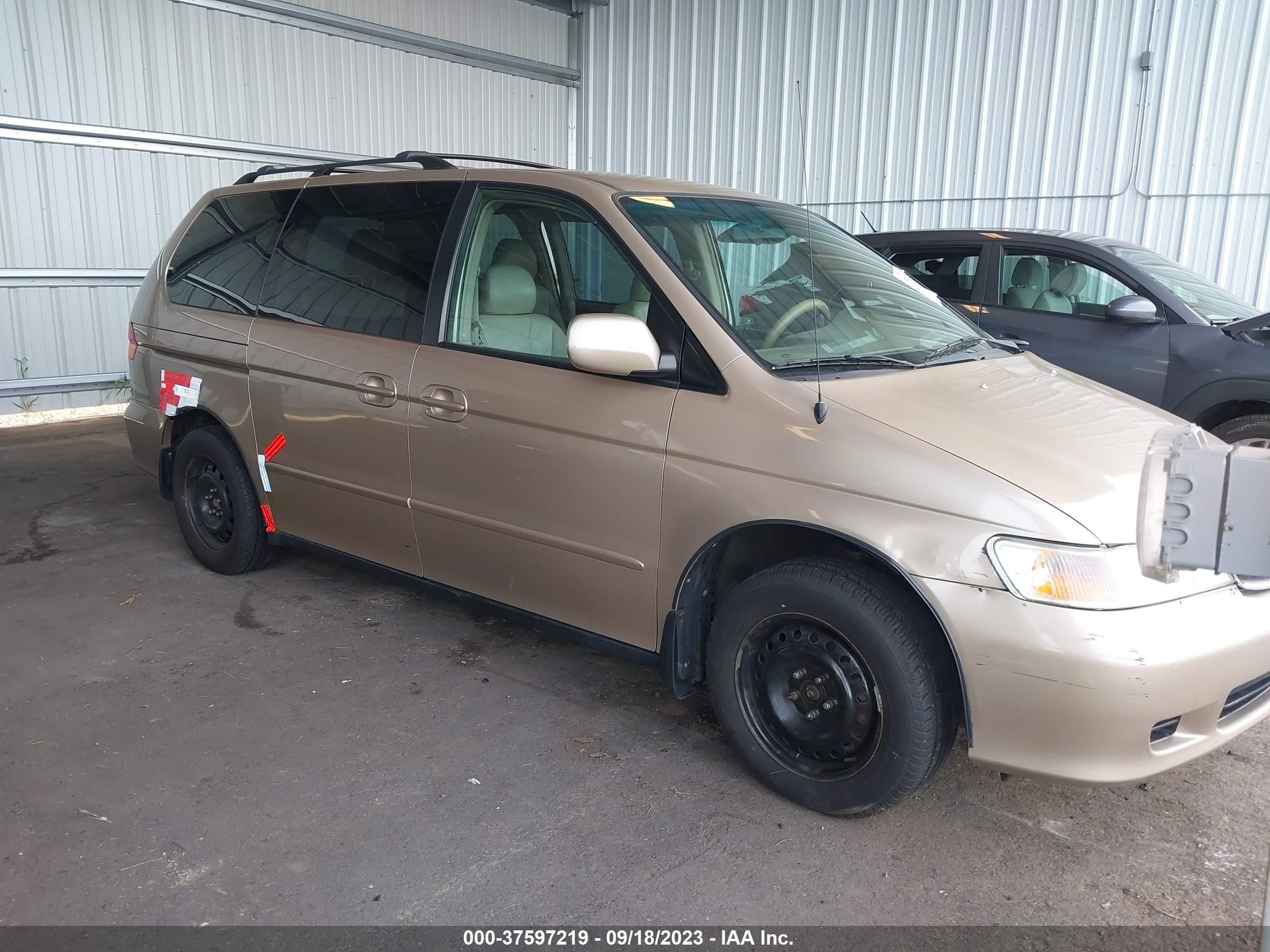 HONDA ODYSSEY 2002 2hkrl18972h541088