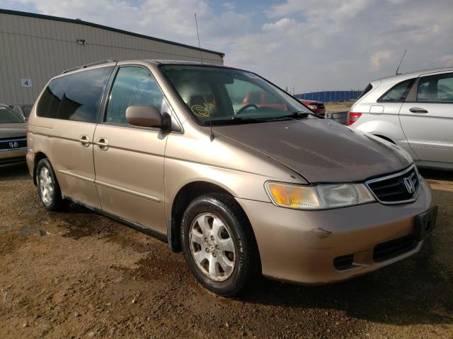 HONDA ODYSSEY EX 2004 2hkrl18994h000093