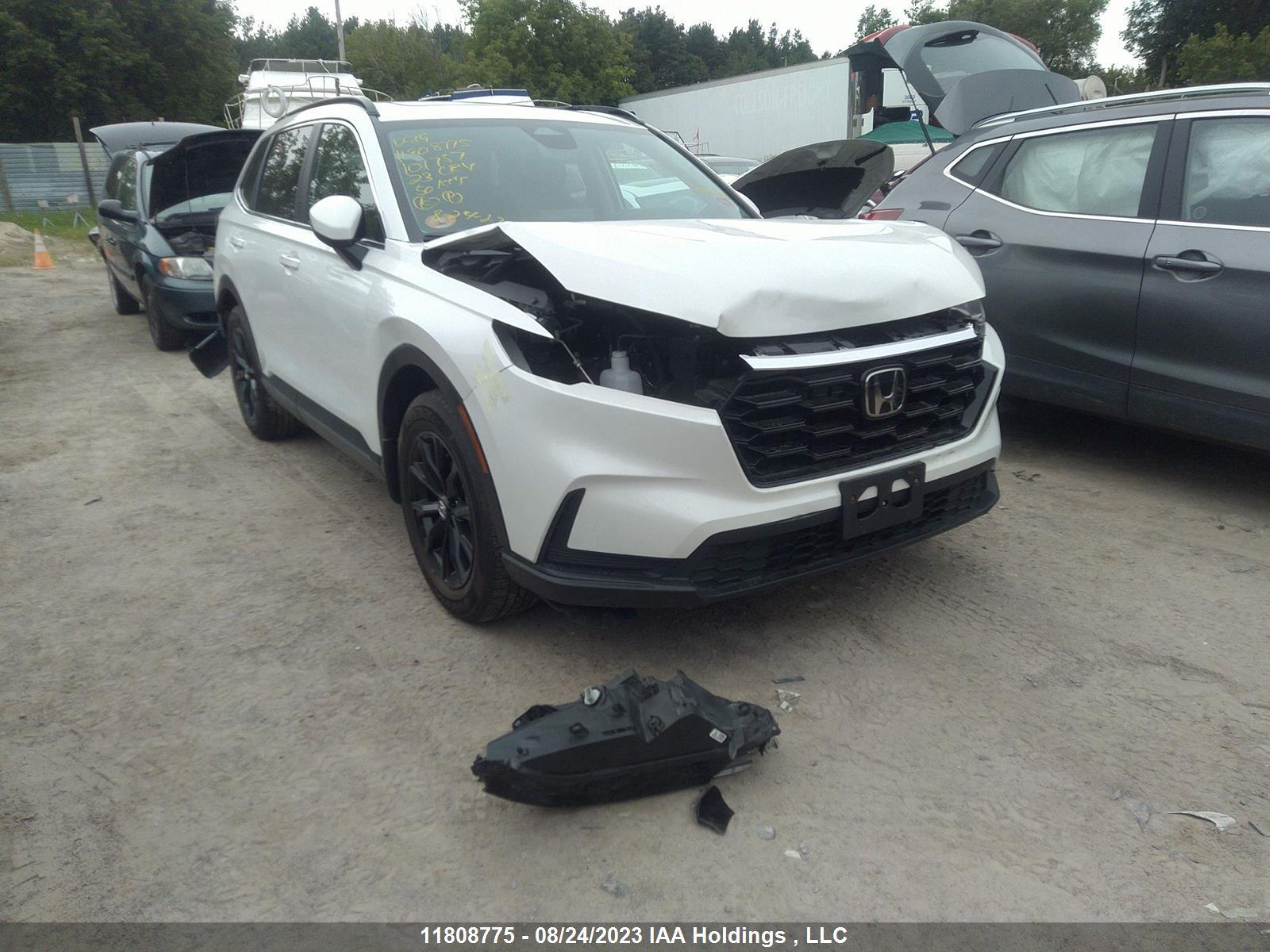 HONDA CR-V 2023 2hkrs4h54ph101757