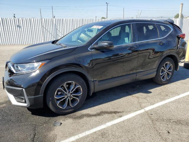 HONDA CR-V EX 2020 2hkrw1h59lh417491