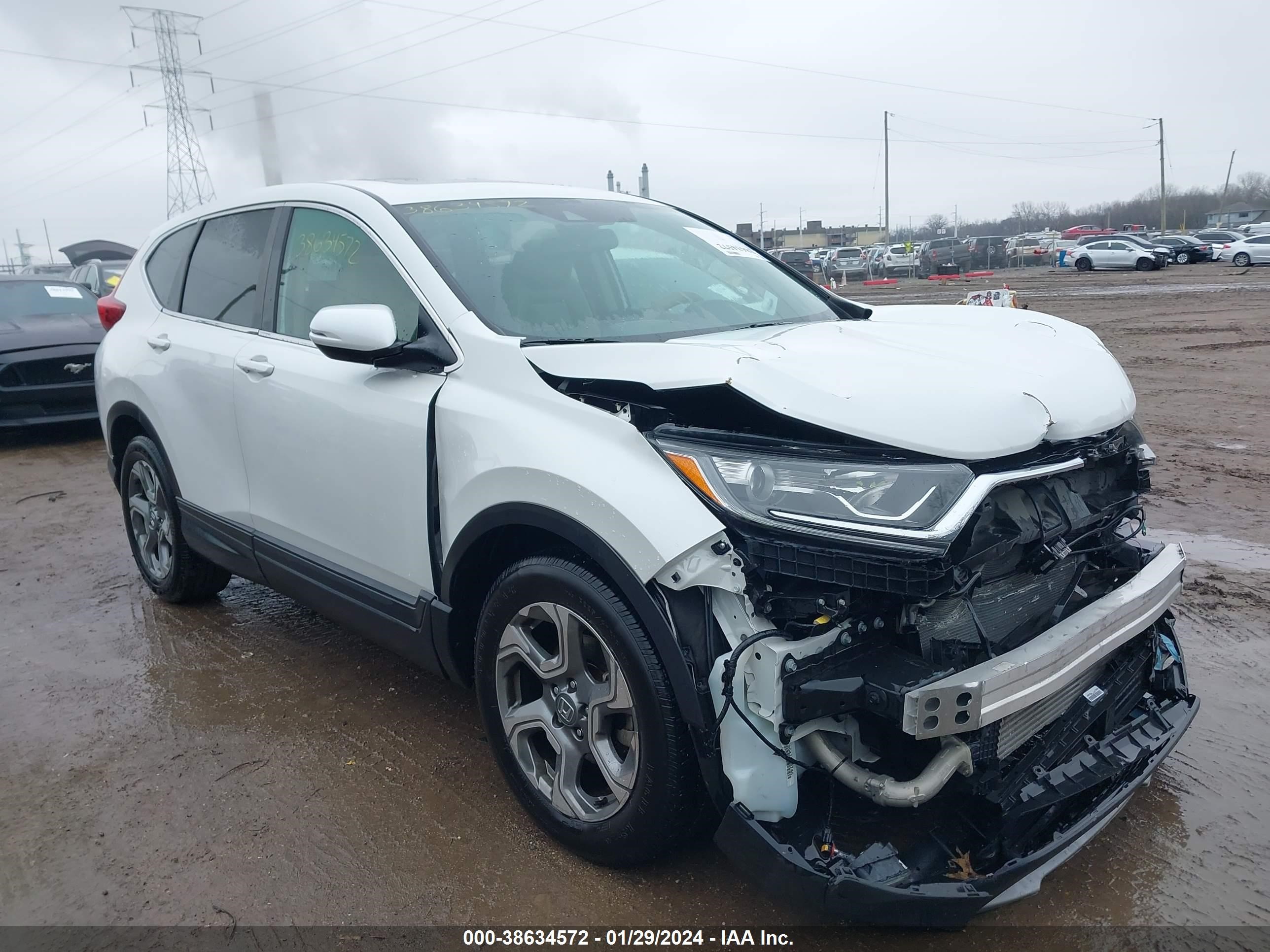 HONDA CR-V 2019 2hkrw1h81kh512409