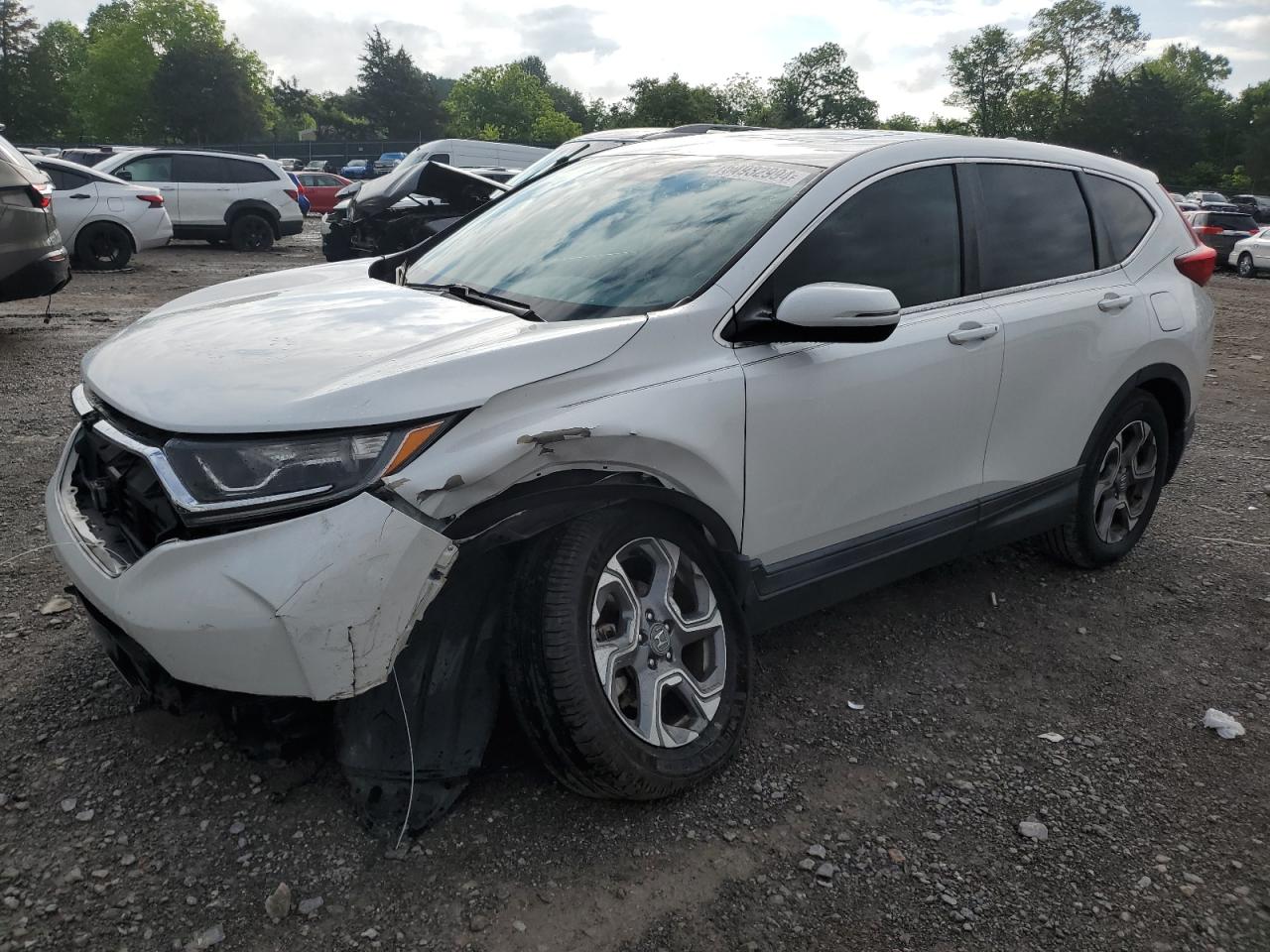 HONDA CR-V 2019 2hkrw1h82kh511687