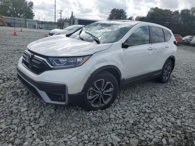 HONDA CRV 2020 2hkrw1h82lh413809