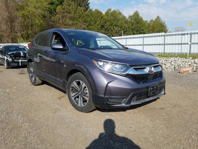 HONDA CR-V LX 2019 2hkrw2h21kh146971