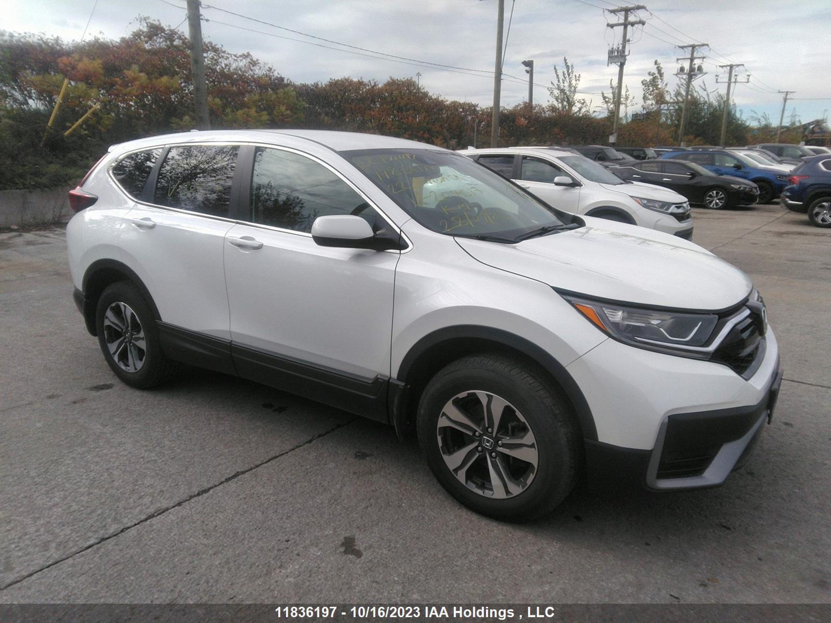 HONDA CR-V 2022 2hkrw2h21nh204517