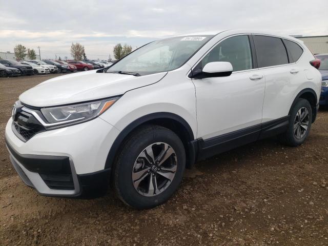 HONDA CR-V LX 2020 2hkrw2h25lh206056